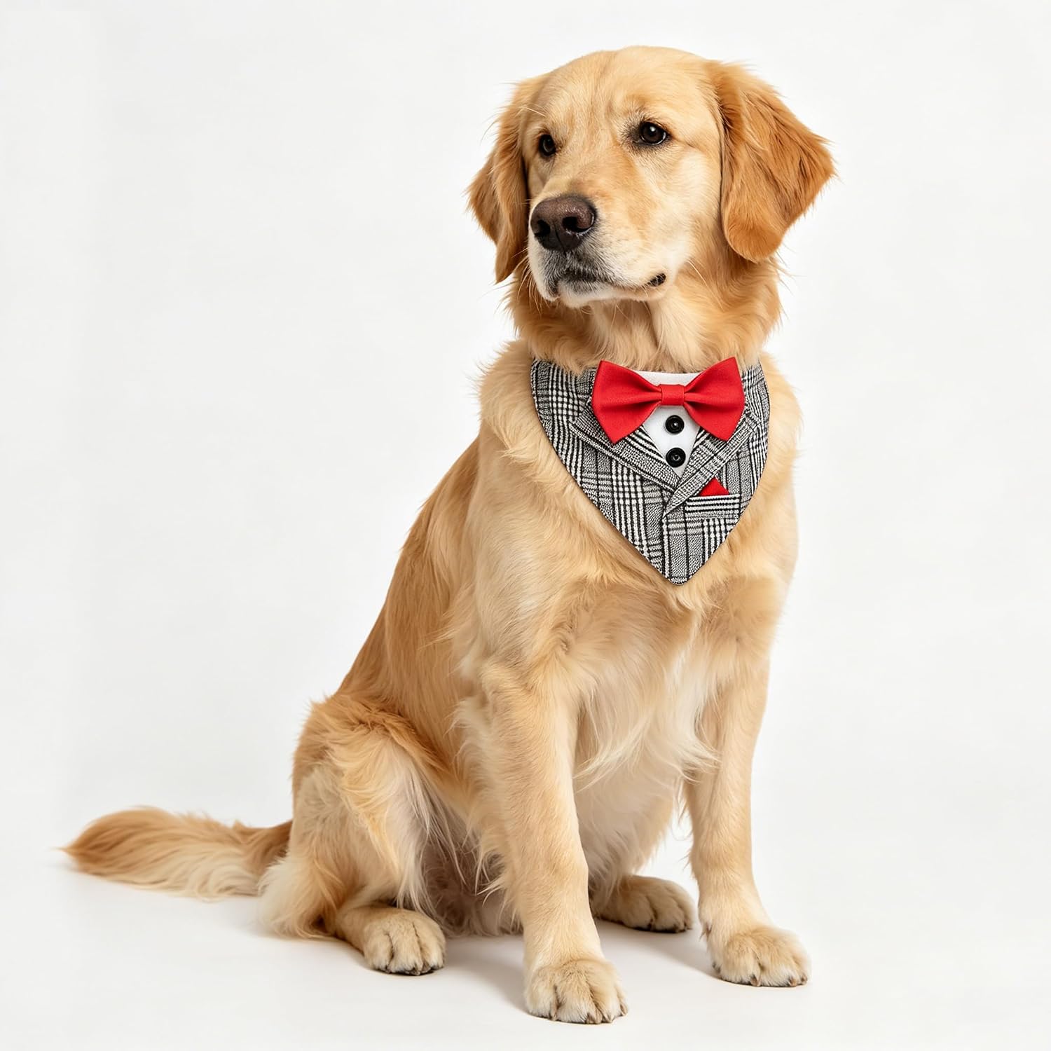 Dog Tuxedo Costumes Wedding Outfit, Gray Stripped Bandana with Red Bowtie, Fashion Dogs Tux Suit Collar (L)