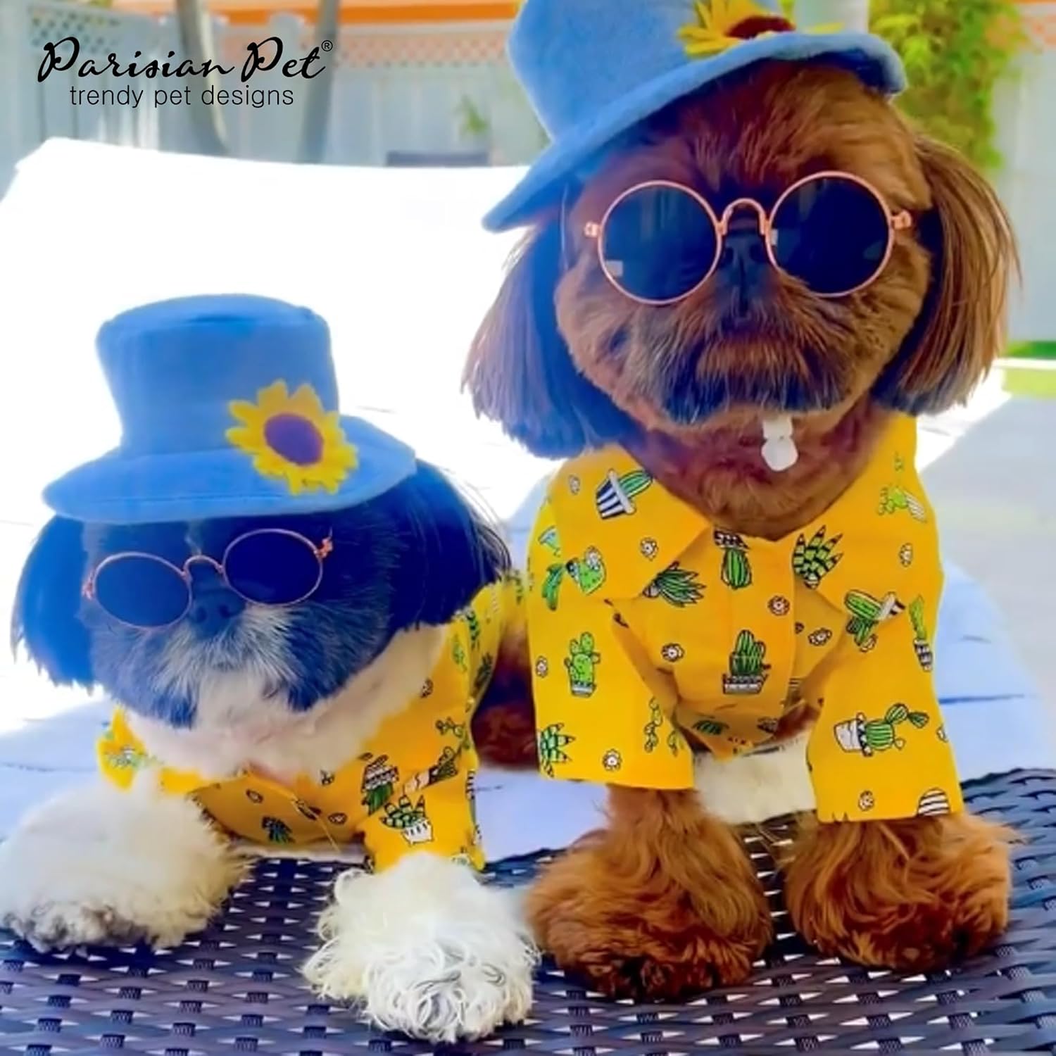 Parisian Pet Cactus Dog Shirt - Cotton Clothes for Medium Dogs - Stylish Tropical Yellow Dog Outfit - Lightweight and Soft Puppy Clothes - Trendy Tshirts for Dogs - Comfortable Summer Camp Pet Apparel