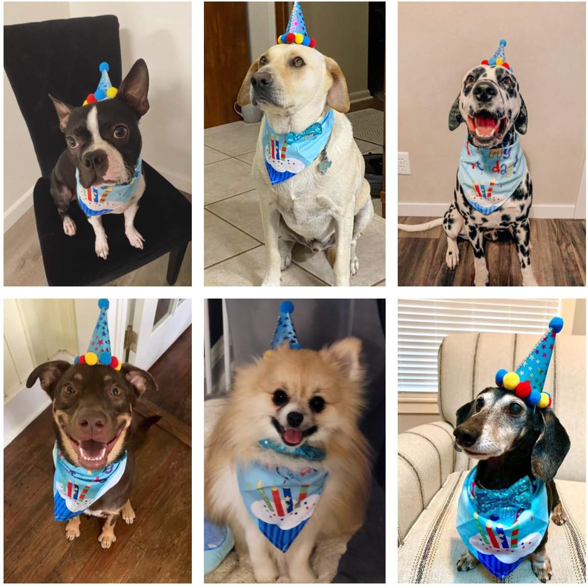 ADOGGYGO Dog Birthday Hat, Blue Birthday Boy Bandana with Bow Tie, Large