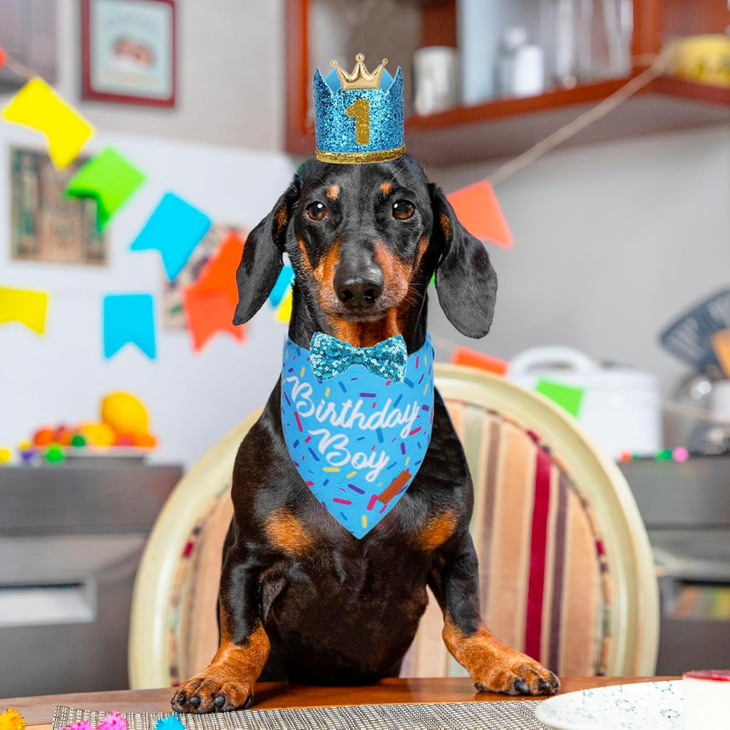 PTDECOR Dog Birthday Hat, Blue Boy Dog Birthday Bandana Set, Small