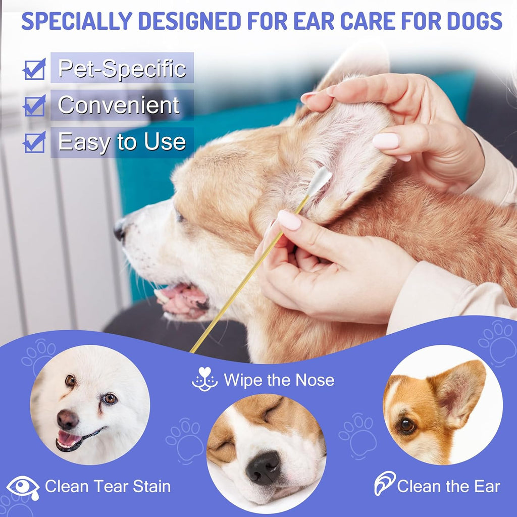 200PCS Large Cotton Swabs in Storage Box, 6 Inch Dog Ear Swabs