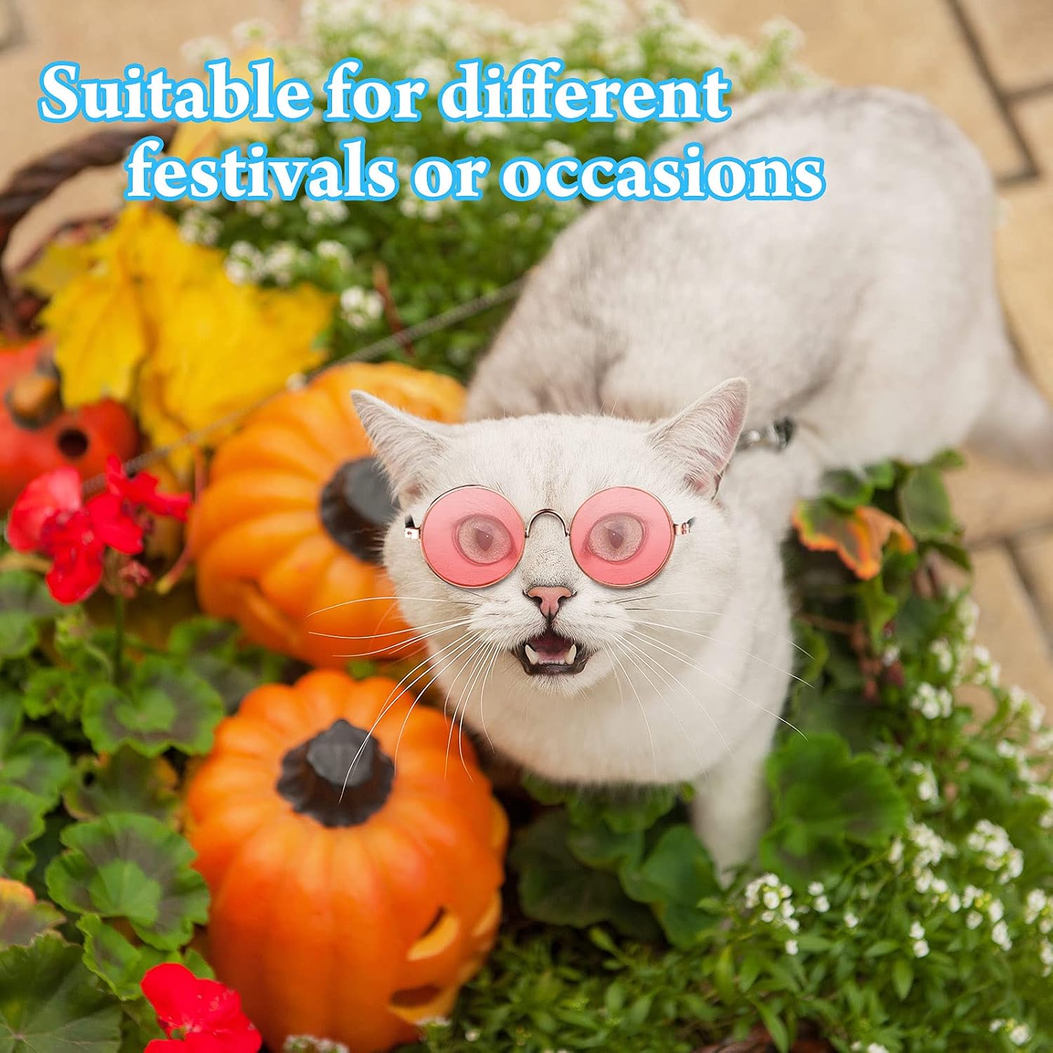 Weewooday 15 Pcs Dog Sunglasses Cat Glasses Round Retro Small for Pet Puppy