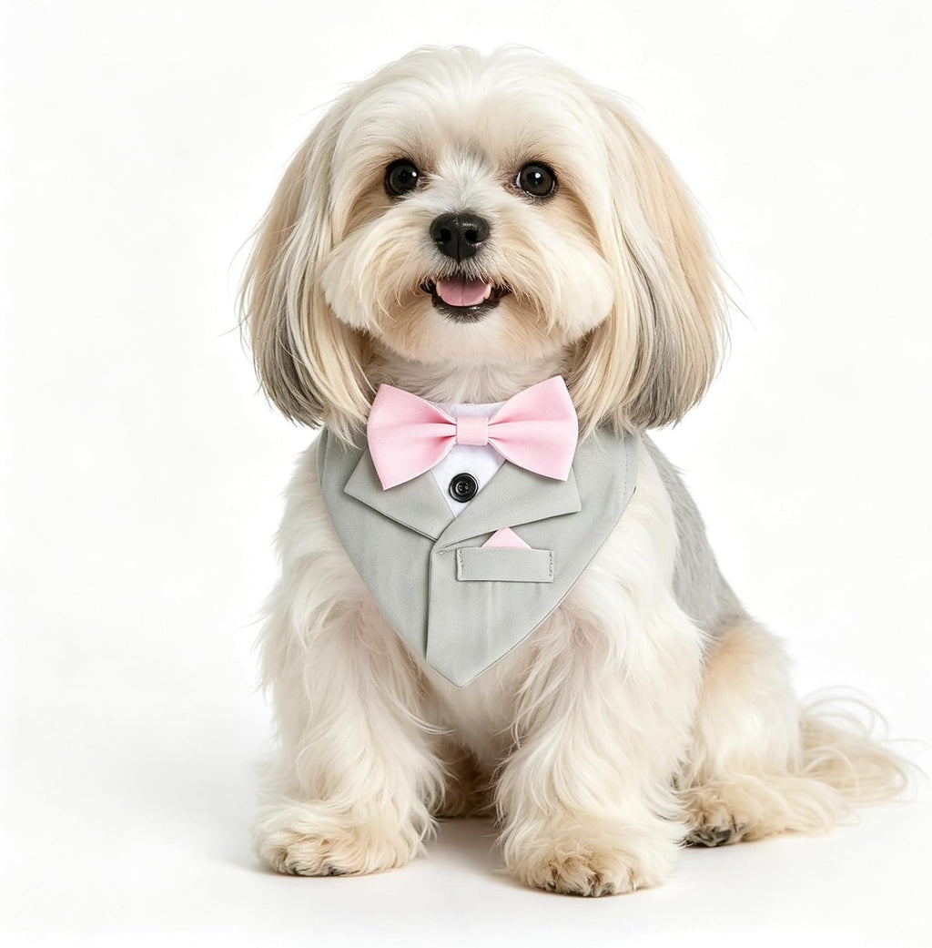 Formal Tuxedo Suit Dog Collar, Wedding Graduation Costume Make-up Pet Supplies, Tux Light Gray Bandana with Pink Bowtie (L)