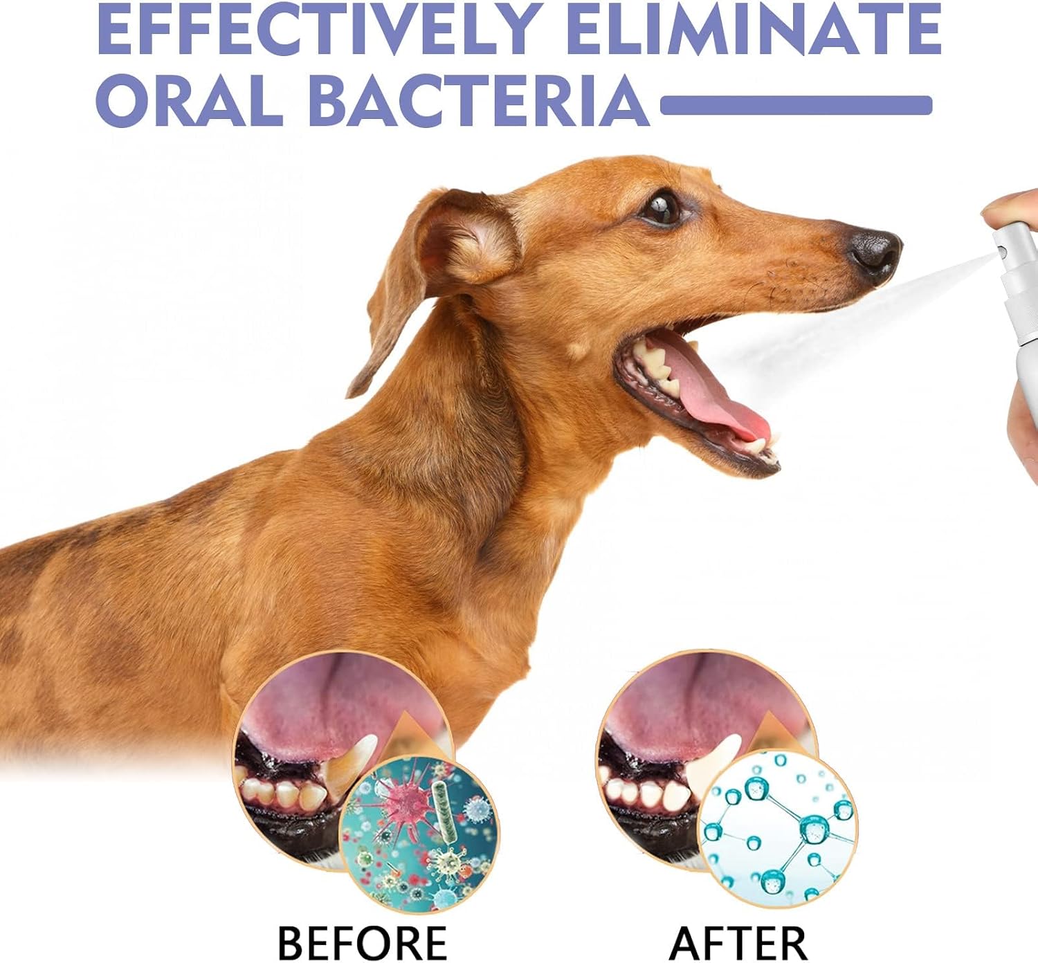 JoanofArc Teeth Cleaning Spray for Pets, Peppermint Freshen Oral Spray, Bad Breath & Tartar Plaque Support, Help Reduce Plaque & Tartar, No Brushing, Oral Care Cleaner, 1.01 fl oz