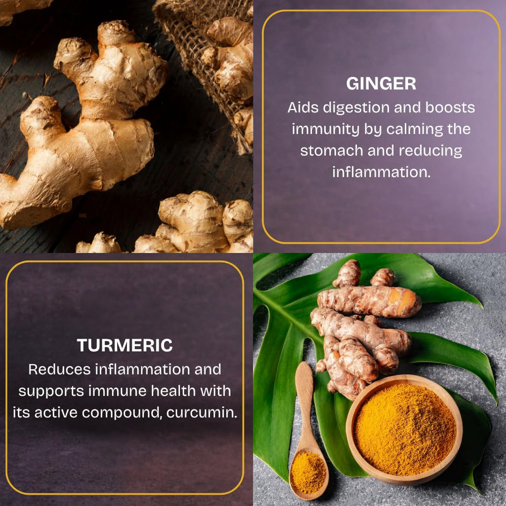 DATI Date Bites, High Fiber Healthy Snack, No Added Sugar, Ginger Turmeric