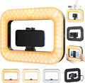 yAyusi Cell Phone Light for Video Recording, Handheld Phone Stabilizer with Light, 8000mAh LED Selfie Phones Ring Light with Phones Holder, Smartphone Video Rig for Camera, Action Camera, Vlog, TikTok