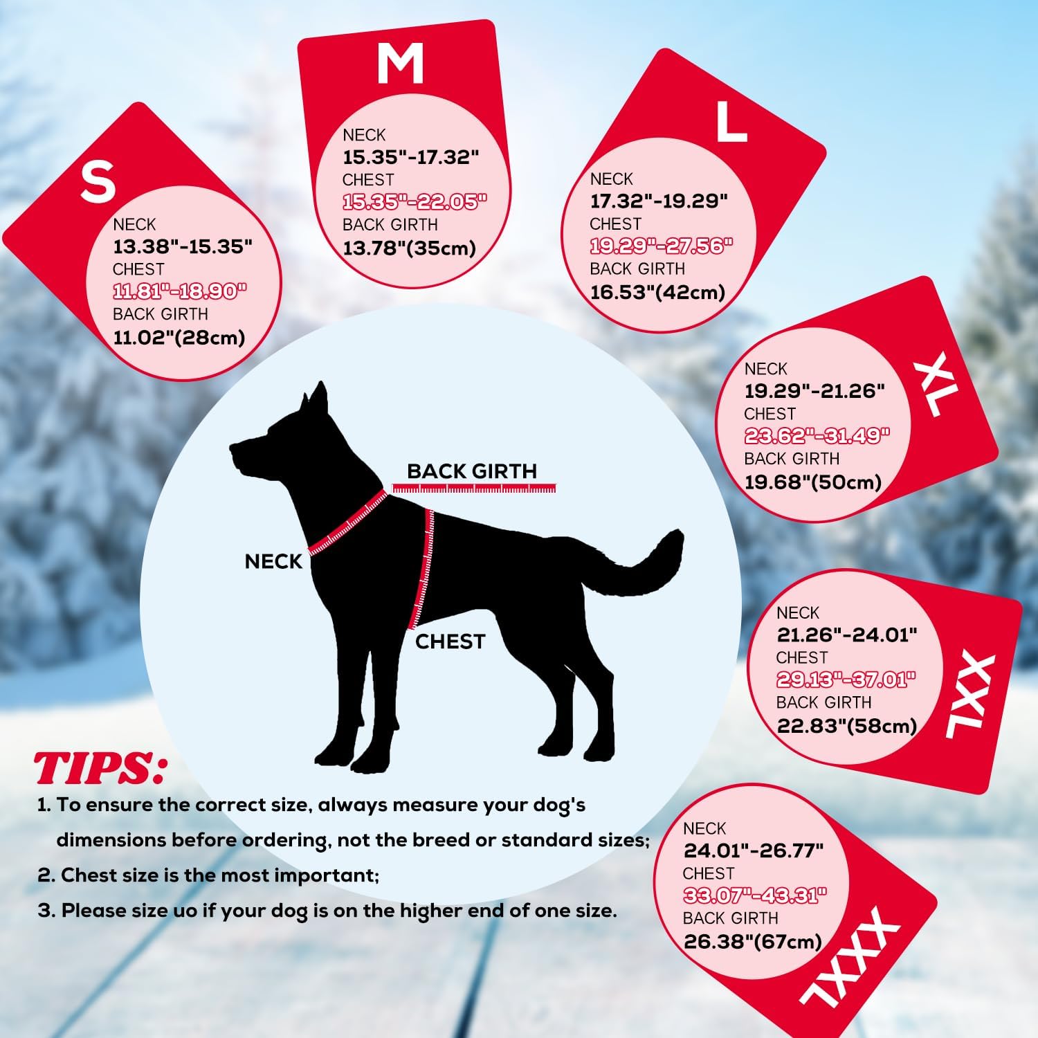 EMUST Dog Winter Coat, Waterproof Fleece Dog Jacket Winter for Small Dogs