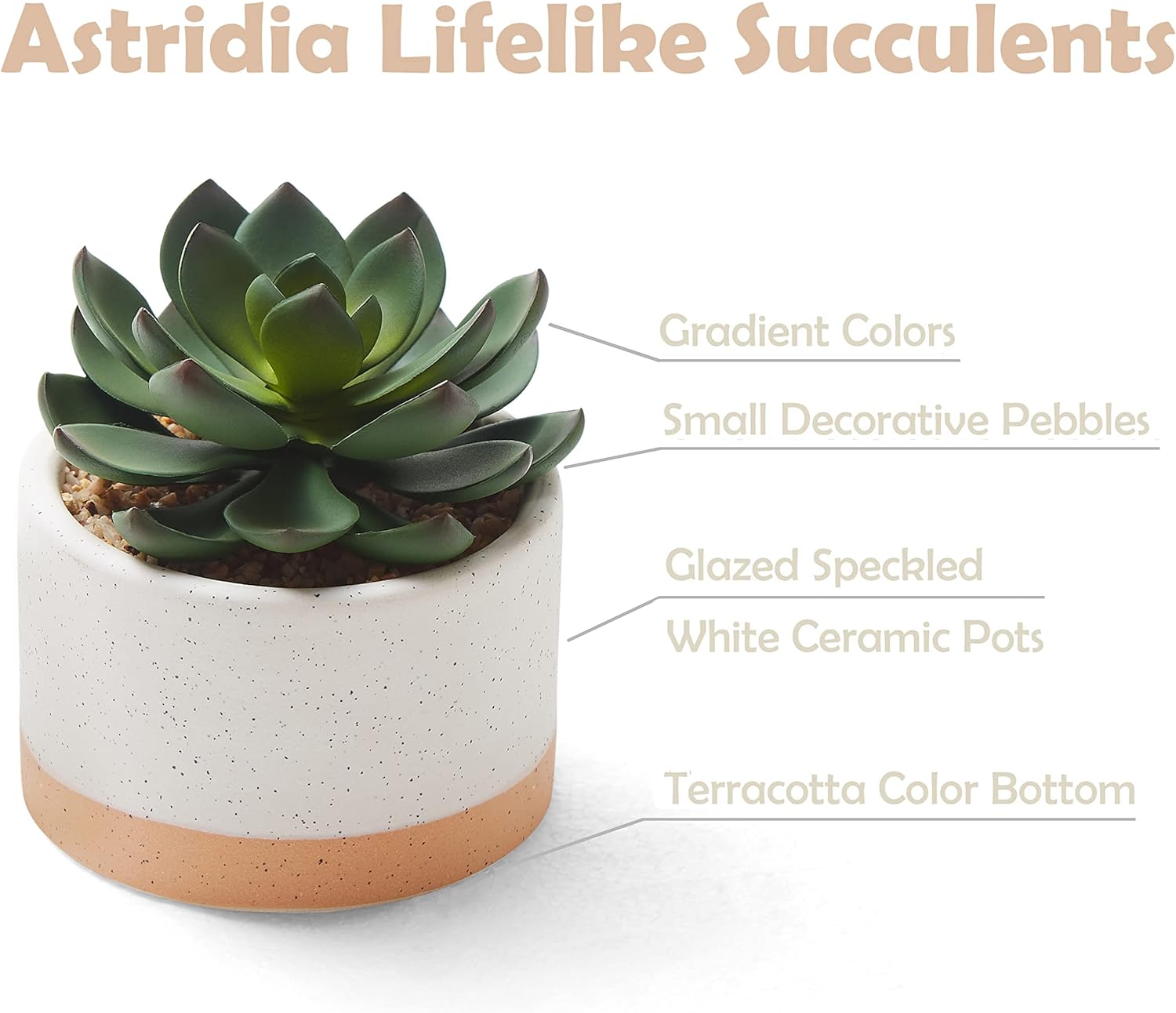 Artificial Succulent Plants in Ceramic Pots Set of 3