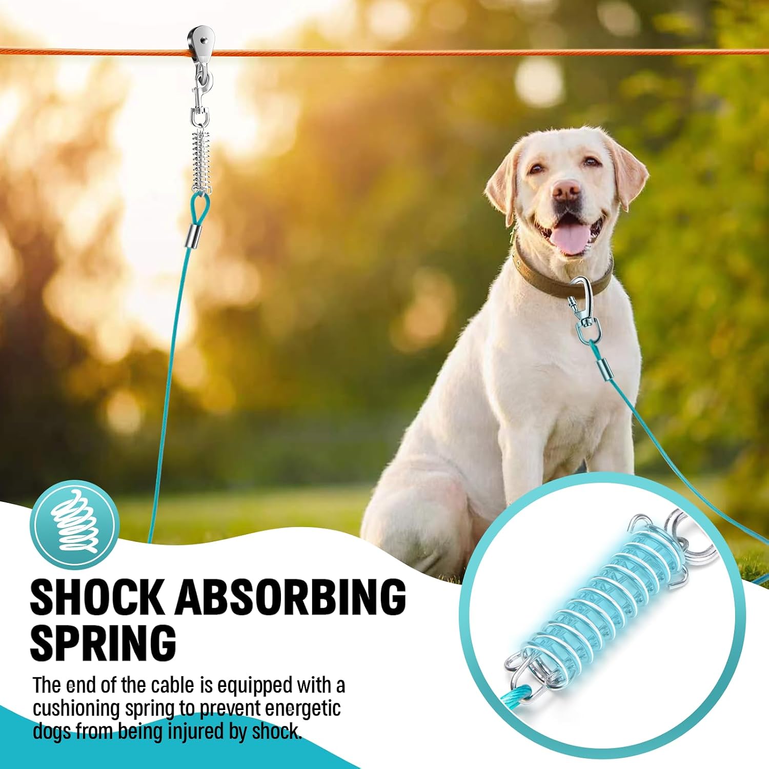 Upgraded Dog Runner for Yard, Heavy Duty Dog Trolley System with 10ft & 15ft Tie Out Cable (Orange+Aqua, 50ft Runner line+(10ft &15ft) tie Out Cable)