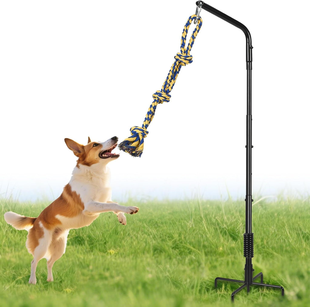 AugFir Tether Outdoor Dog Rope Toy with Strengthen Spring Pole, 3 Kinds Dog Tug of War Toys for Self Play and Interactive in Park, Yard, Lawn Rope, Suitable for Large Medium Small Dogs (Black)