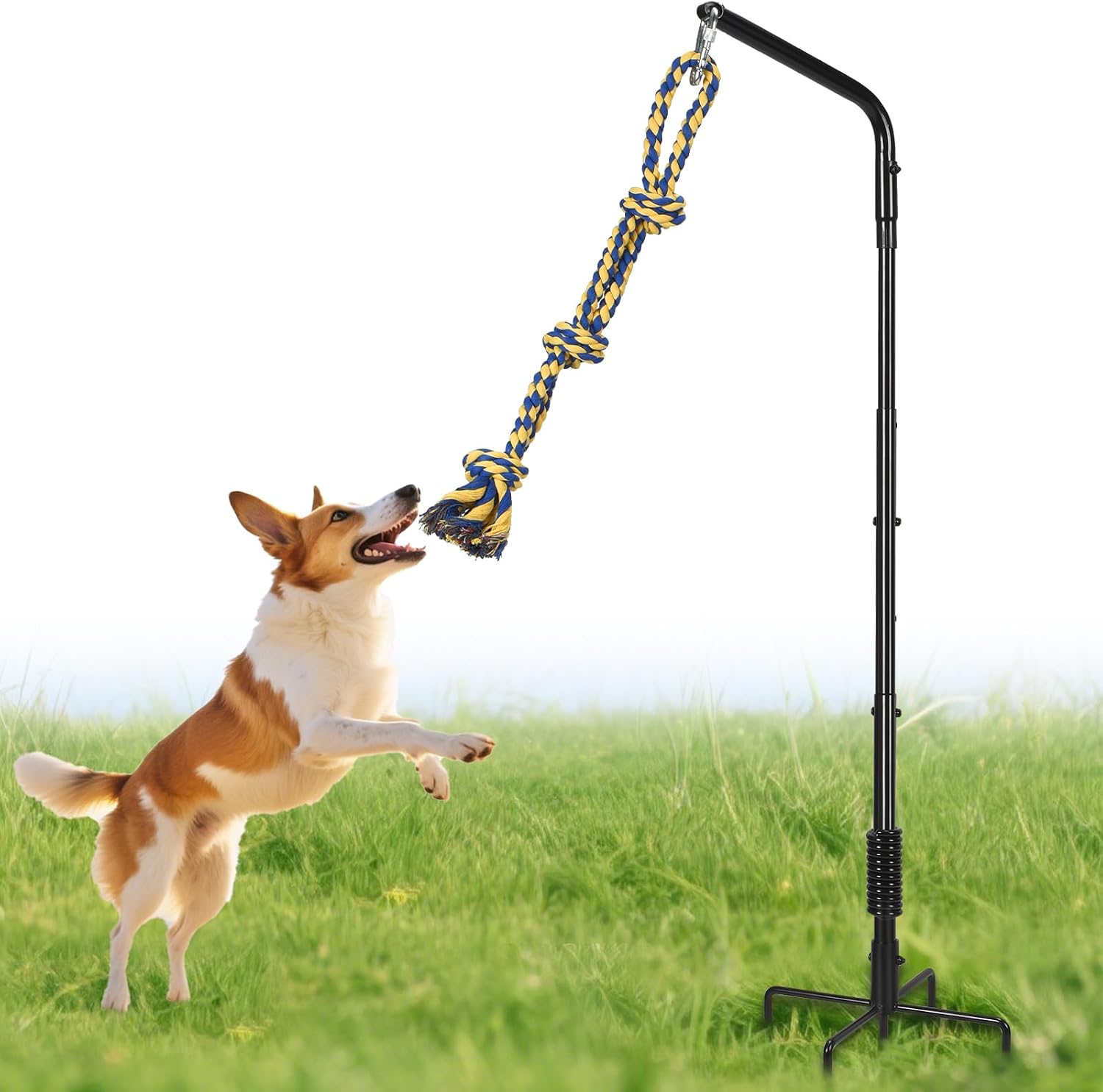 AugFir Tether Outdoor Dog Rope Toy with Strengthen Spring Pole, 3 Kinds Dog Tug of War Toys for Self Play and Interactive in Park, Yard, Lawn Rope, Suitable for Large Medium Small Dogs (Black)