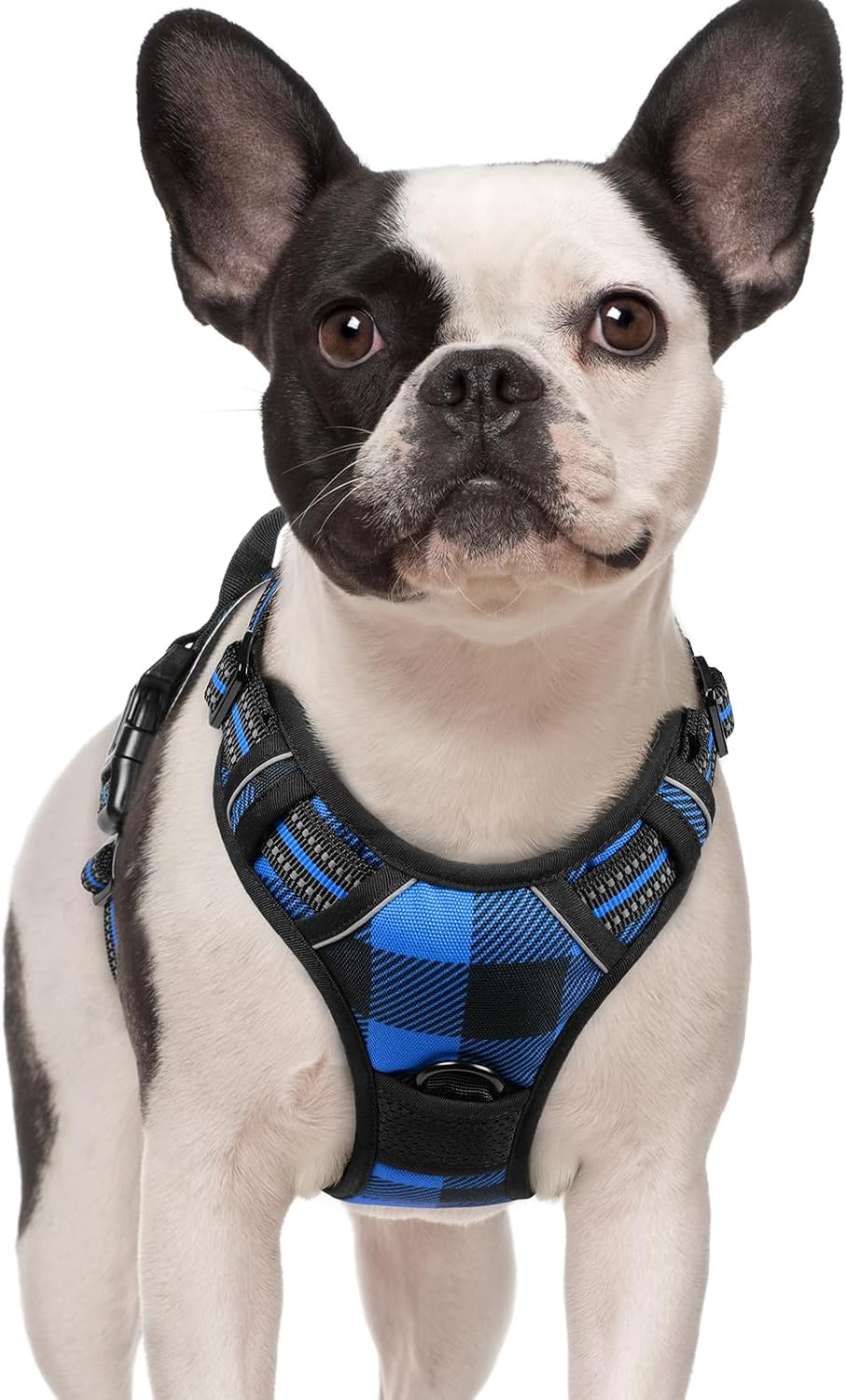 rabbitgoo Dog Harness, No-Pull Pet Harness with 2 Leash Clips, Adjustable Soft Padded Dog Vest, Reflective No-Choke Pet Oxford Vest with Easy Control Handle for Large Dogs, Purple, L