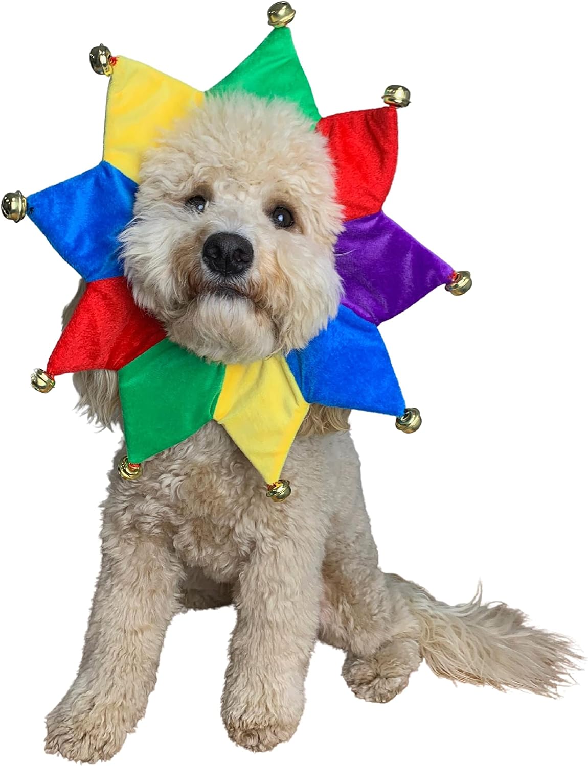 ComfyCamper Dog Jester Clown Neckpiece Cute Outfit Halloween Costume, L