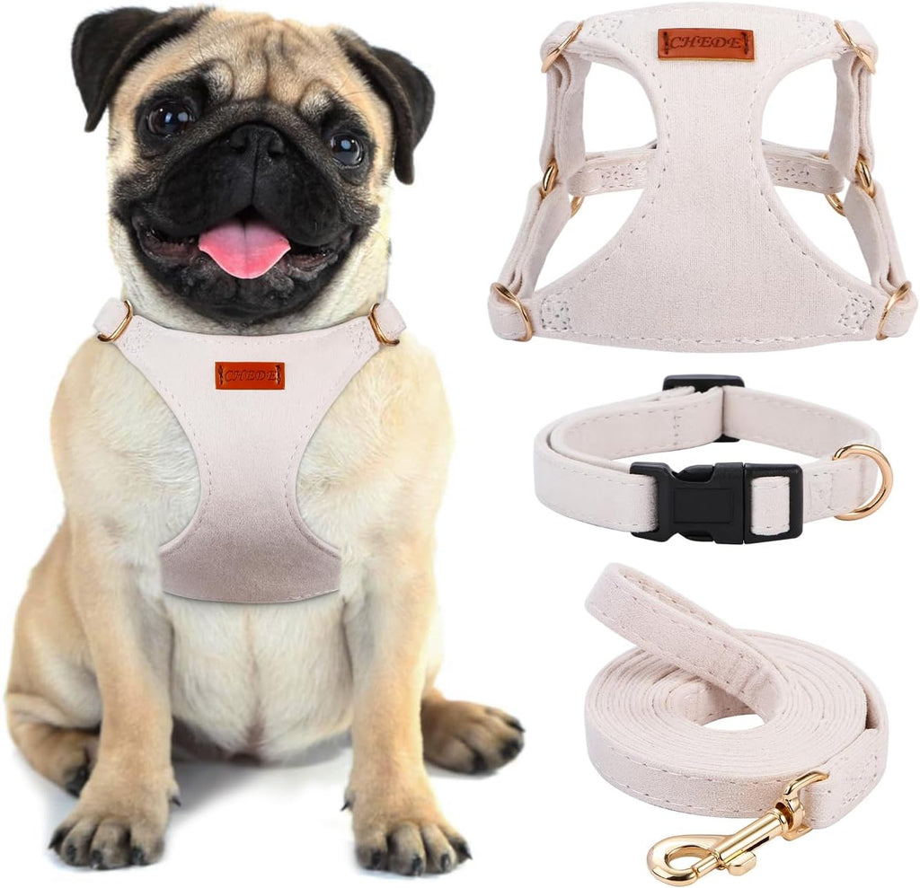 No Pull Dog Harness- Lightweight, Soft, Adjustable Small Harness Collar and Leash Set, Suitable for Cats Puppy Small and Medium-Sized Dog Outdoor Training and Running (Green, S)