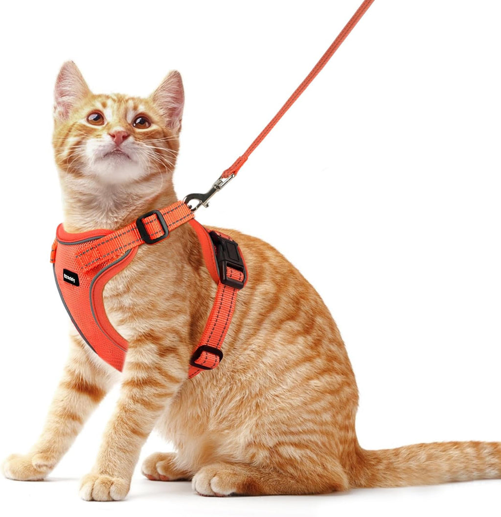 Cat Harness and Leash Set, Escape Proof Cat Harness with Reflective Strips, Breathable Mesh Vest, Adjustable Walking Harness for Indoor Outdoor Cats, Kittens, Small Medium Large Cats (Orange, S)