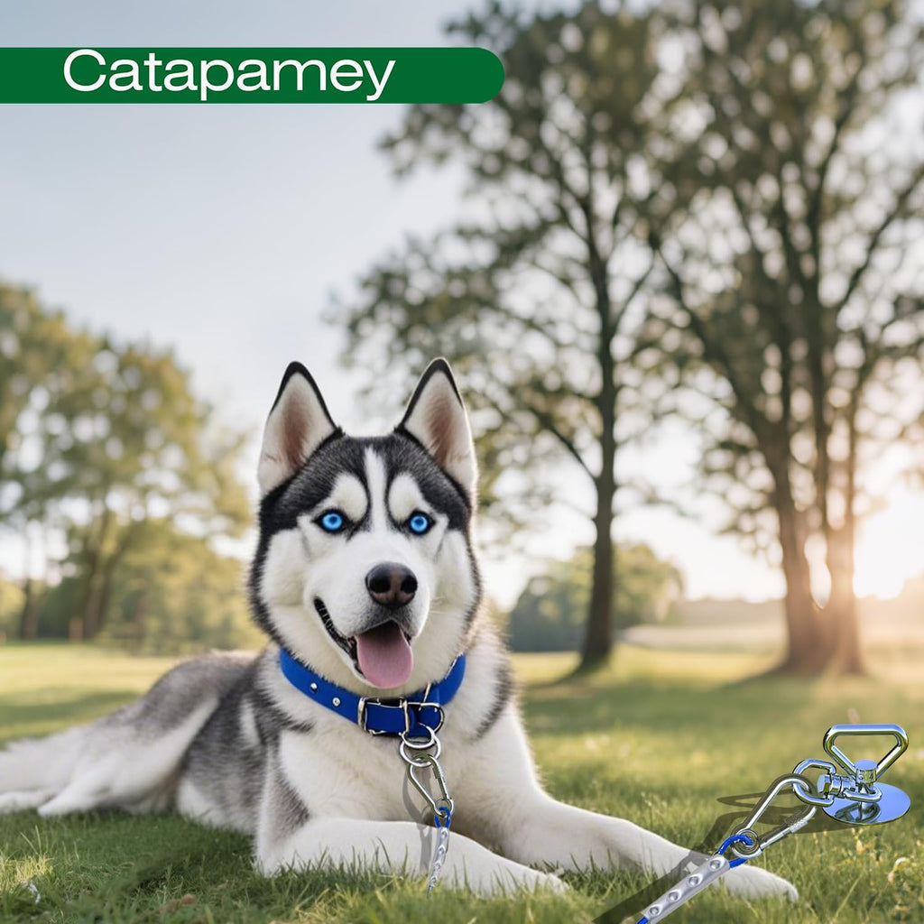 Catapamey Dog Tie Out Cable and Stake,with 30FT Heavy Duty Cable,360° Swivel Dog Run Stake-No Tangle-Runner for Yard,-Suitable for Up to 150 lbs- Idela for Yard Outdoor Camping