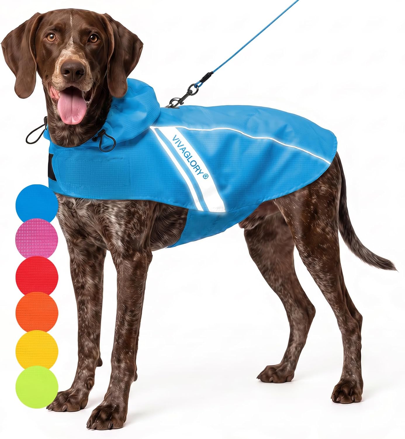 VIVAGLORY Dog Raincoat Wetoff Dog Rain Coat, XL, Blue