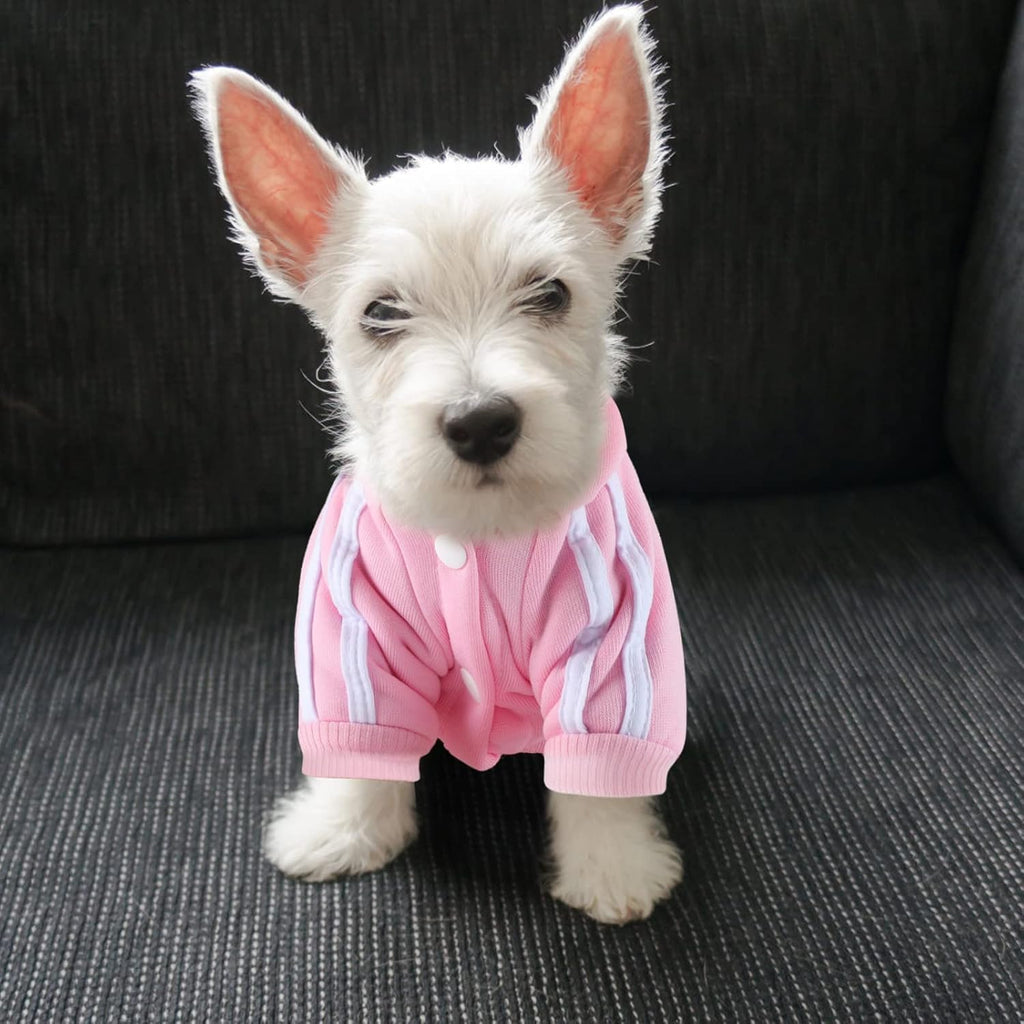 Dog Hoodie 4 Legs Jumpsuit Puppy Clothes Pullover Sweatshirt Pet Coat