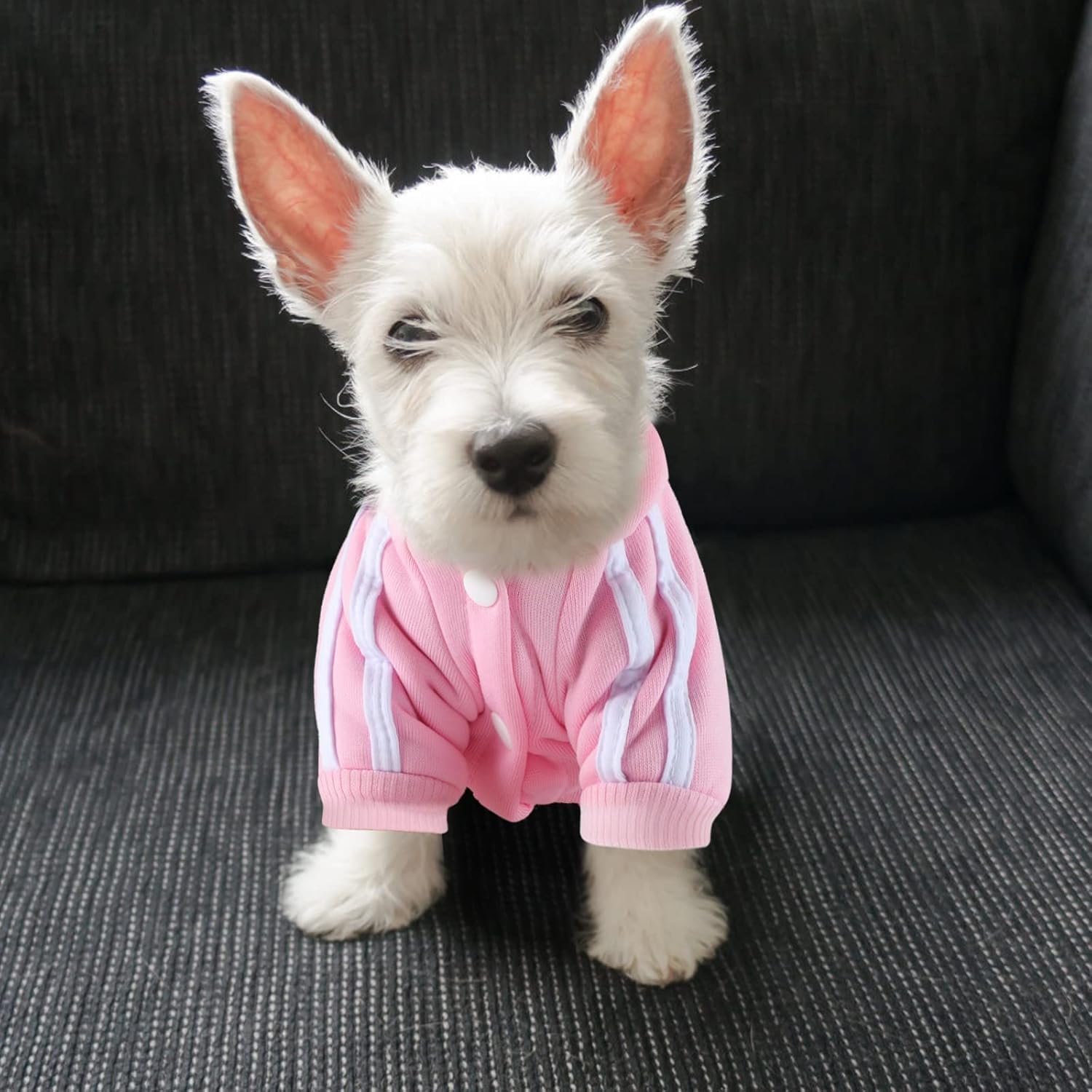Dog Hoodie 4 Legs Jumpsuit Puppy Clothes Pullover Sweatshirt Pet Coat