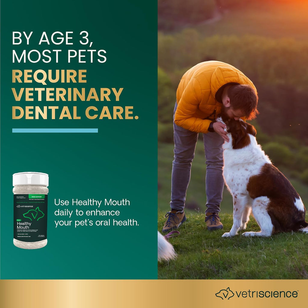 VetriScience Dental Care Powder for Dogs and Cats, 4.2 oz