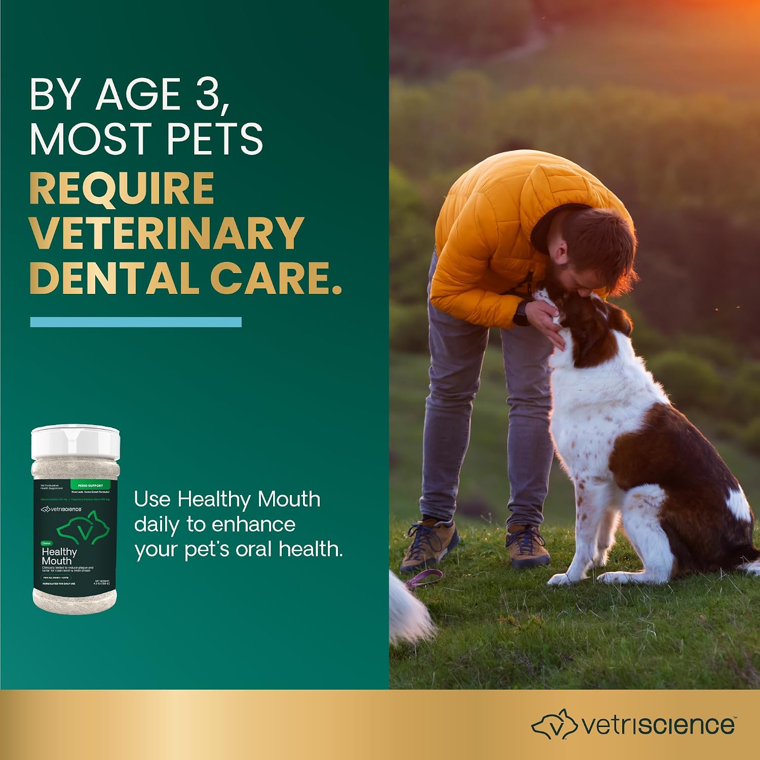 VetriScience Dental Care Powder for Dogs and Cats, 4.2 oz