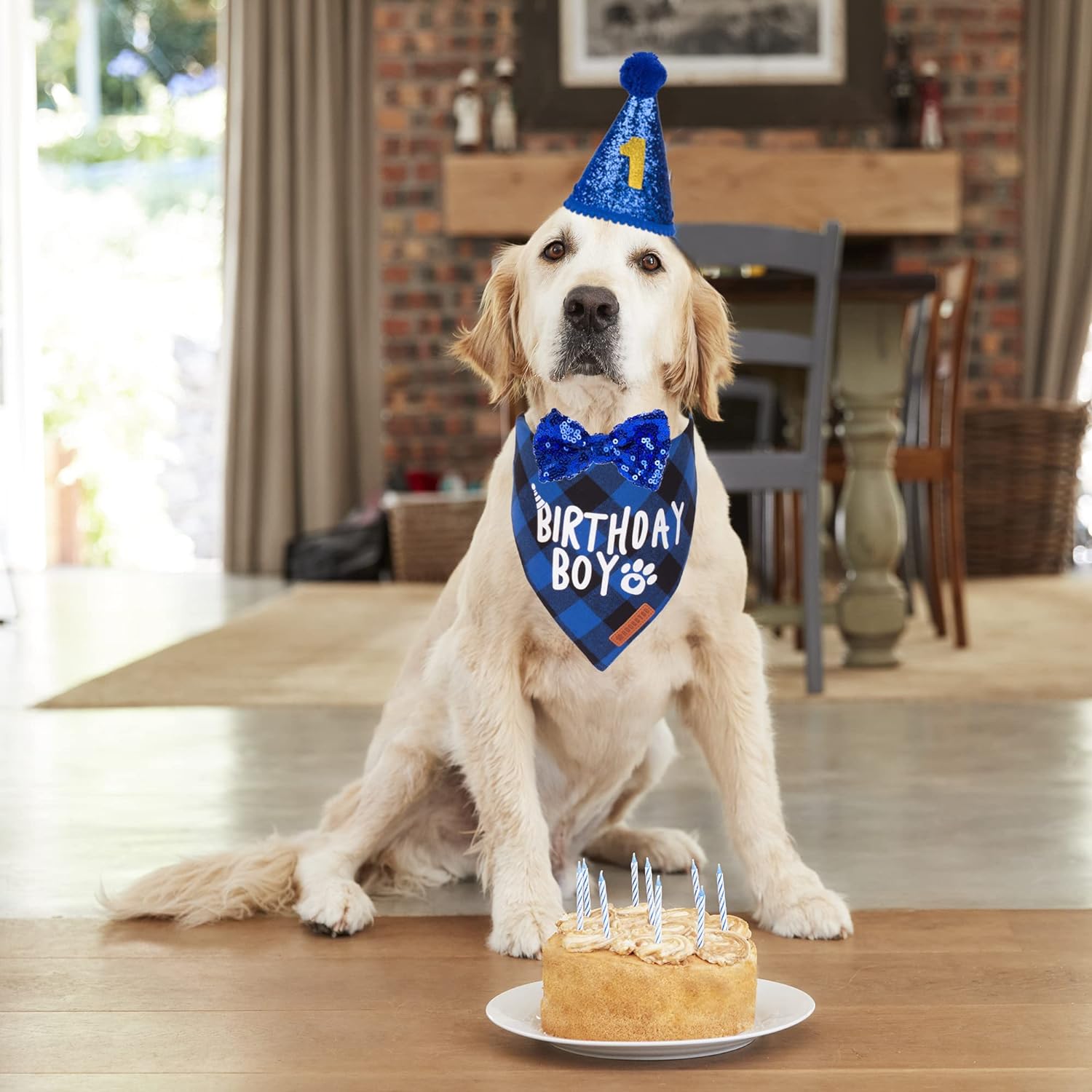 ADOGGYGO Dog Birthday Hat Bandana Set, Blue Plaid Boy Dog Bandana, X-Large