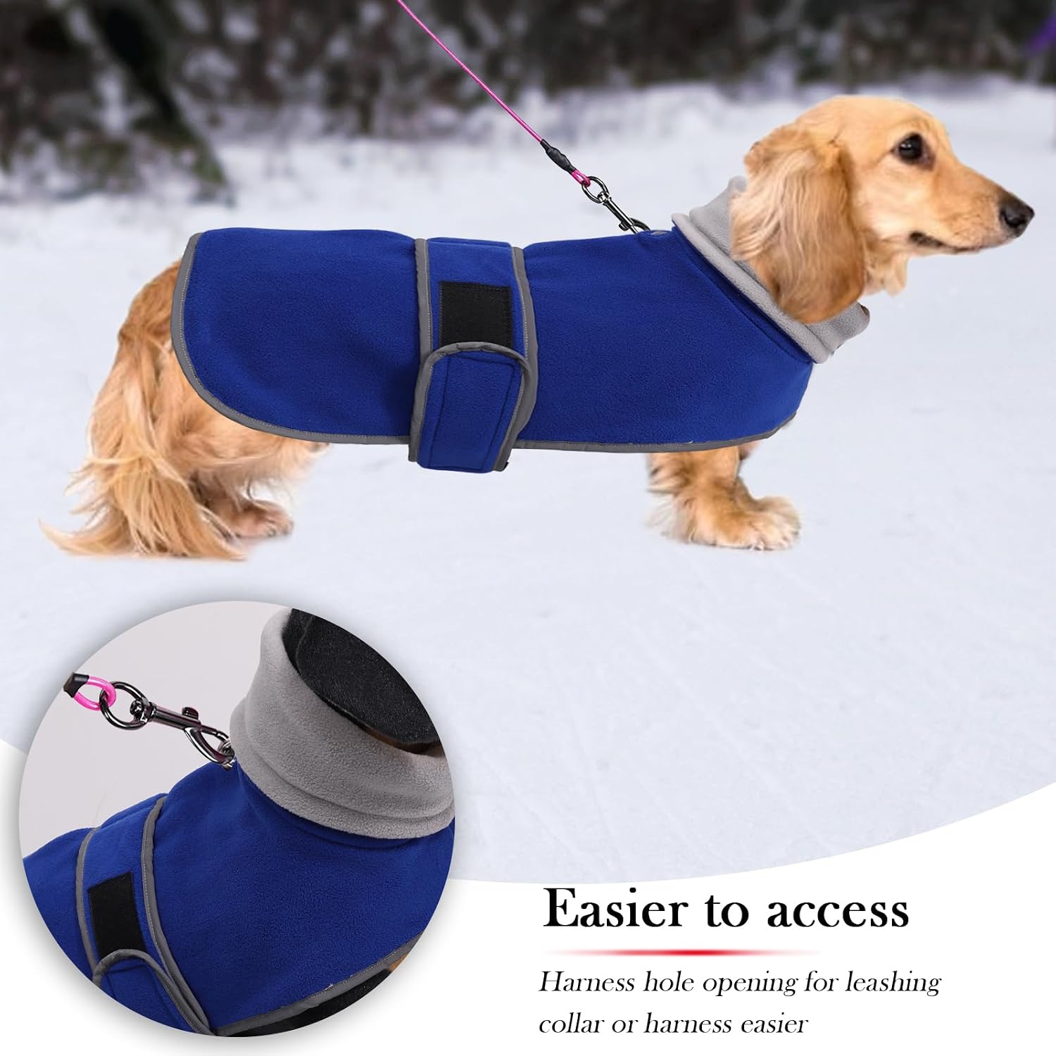 Geyecete Dachshund Sweaters for Dachshunds - Winter Coat with Padded Fleece Lining and High Collar - Dog Snowsuit with Adjustable Bands - Blue - M