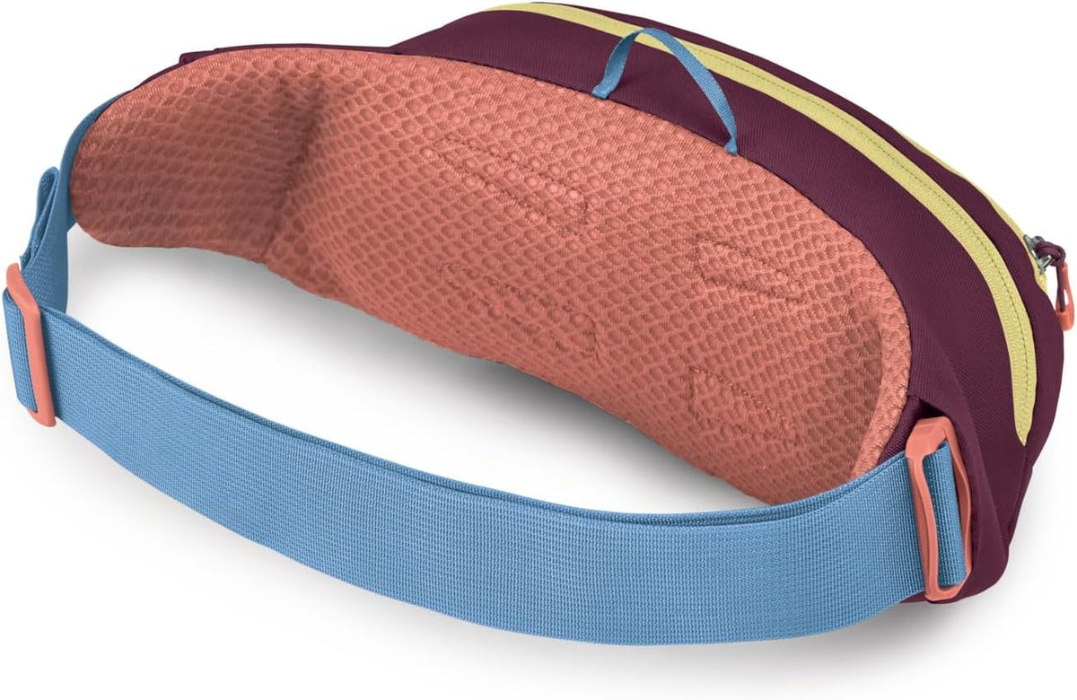 Osprey Daylite Waist Pack - Fanny Pack with Crossbody Shoulder Carry Option - Lightweight Hip Bag