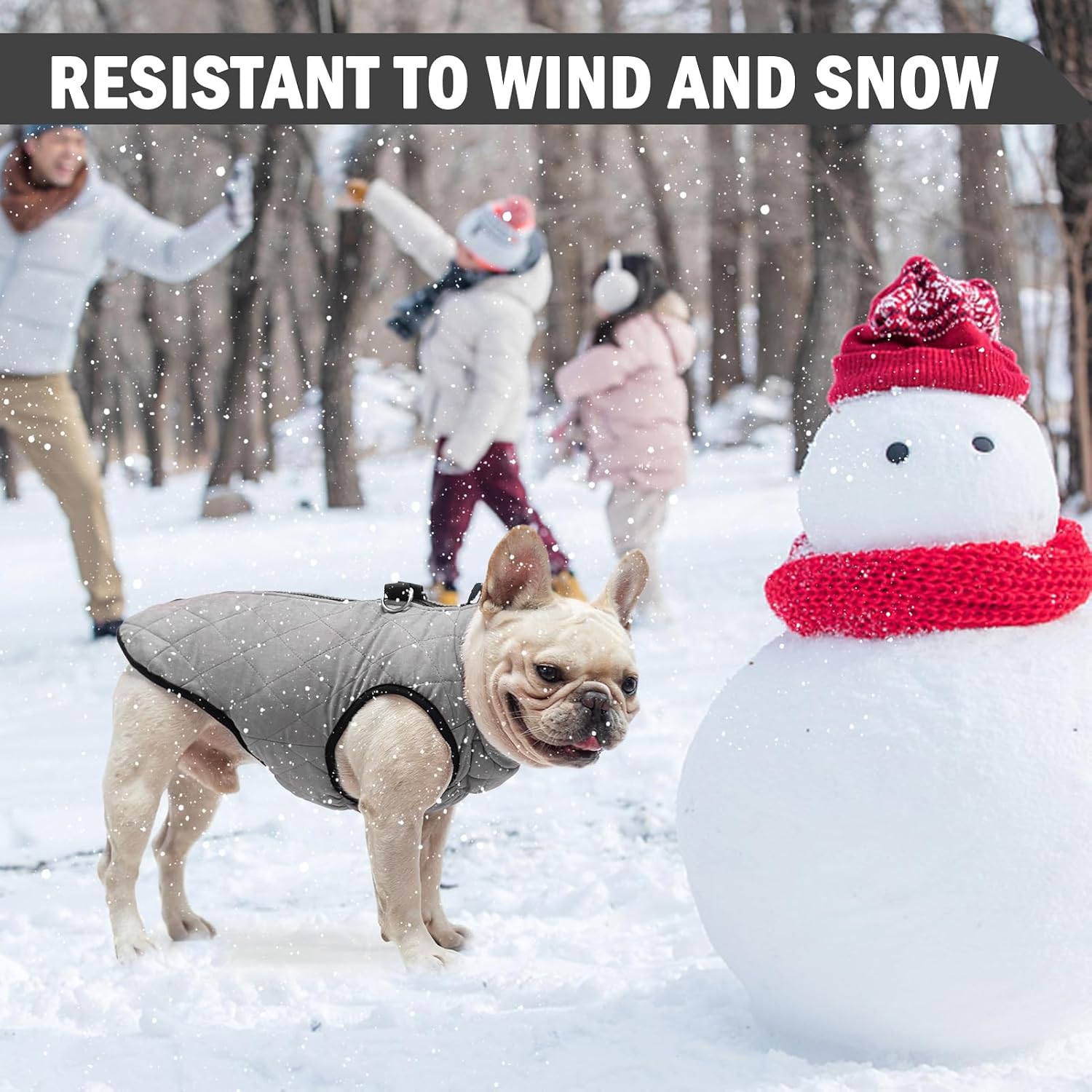 SCENEREAL Winter Dog Vest Coat with Harness Built in