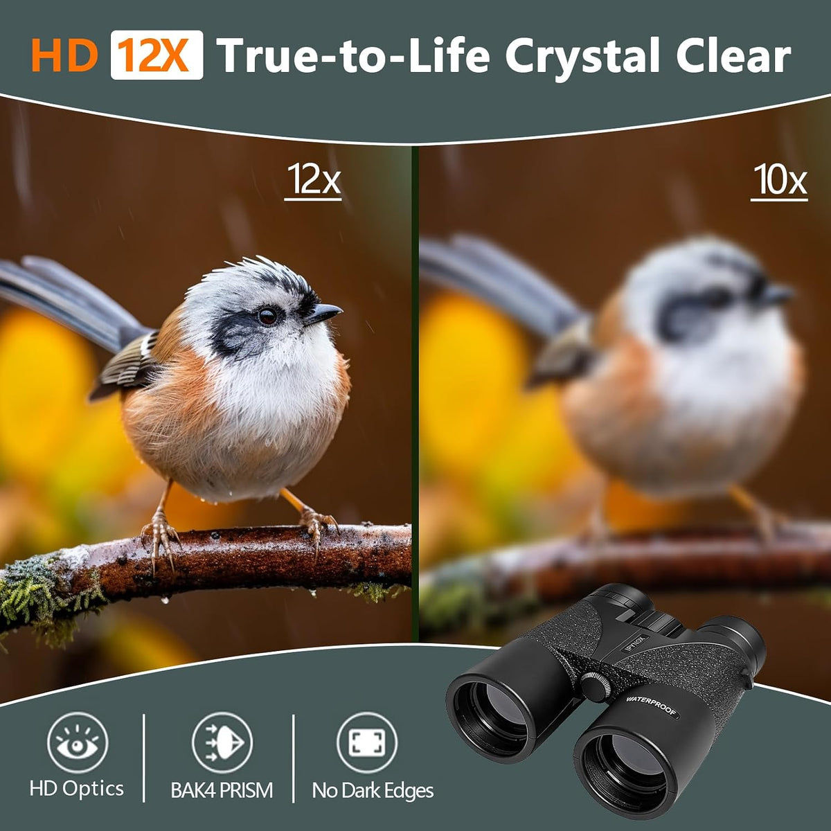12x42 HD Binoculars for Adults, BAK4 Prism Waterproof Lightweight