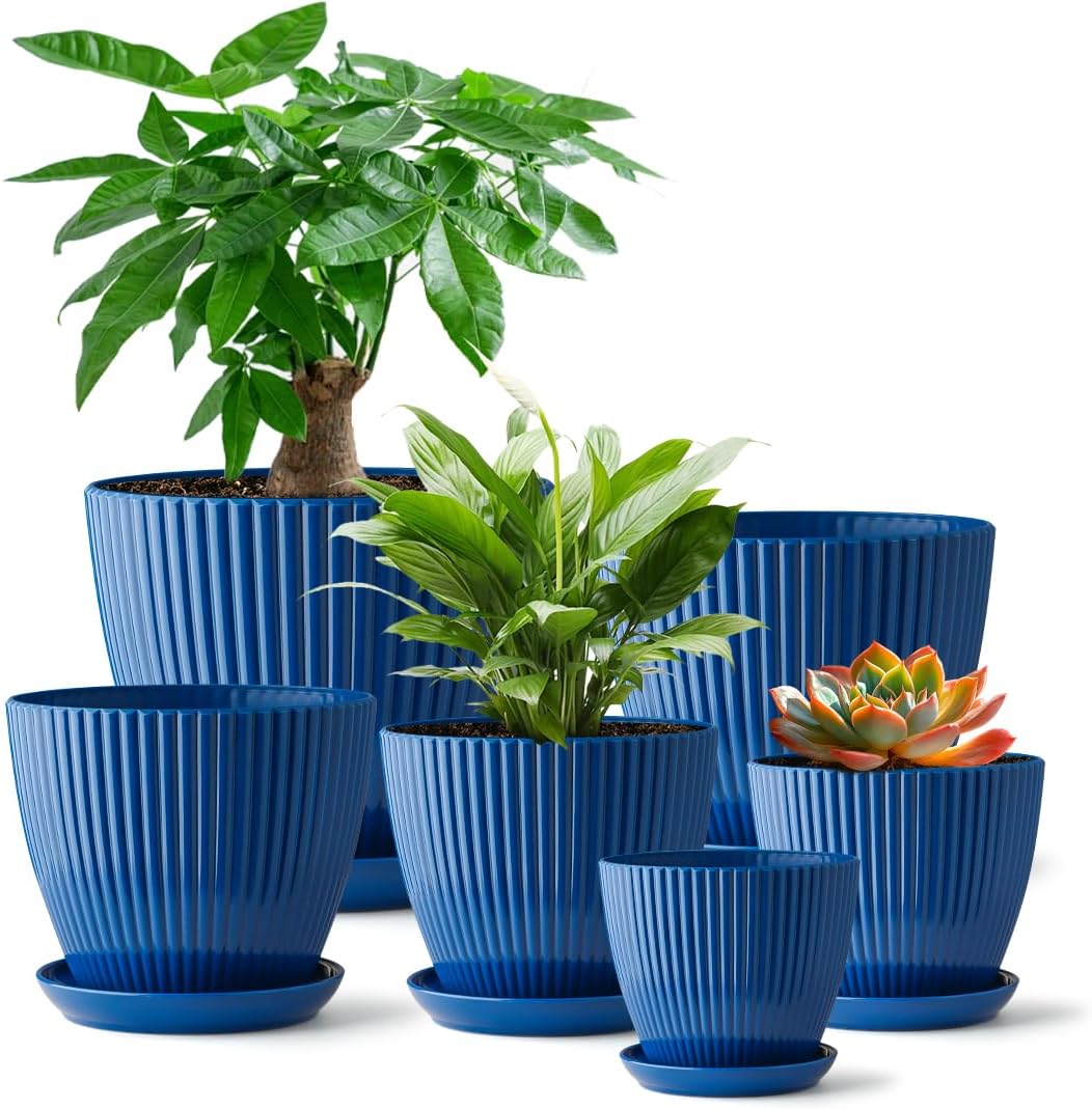 RooTrimmer Multi Size Plastic Pots 6 Pack, Drain Holes, Saucers, Dark Green