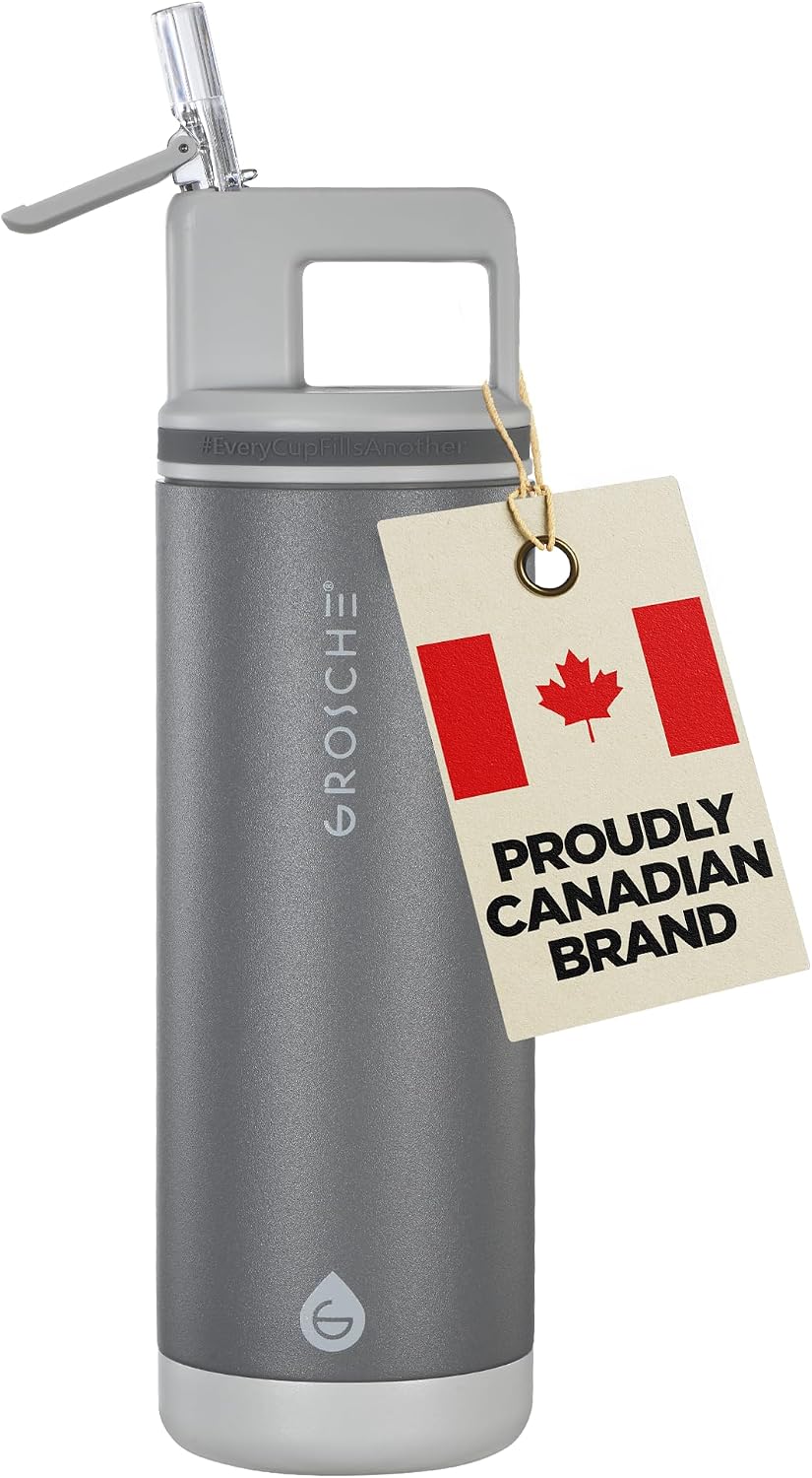 GROSCHE Alpine Flip 'N Sip Steel Water Bottle with Straw, Steel Gray, 20 oz