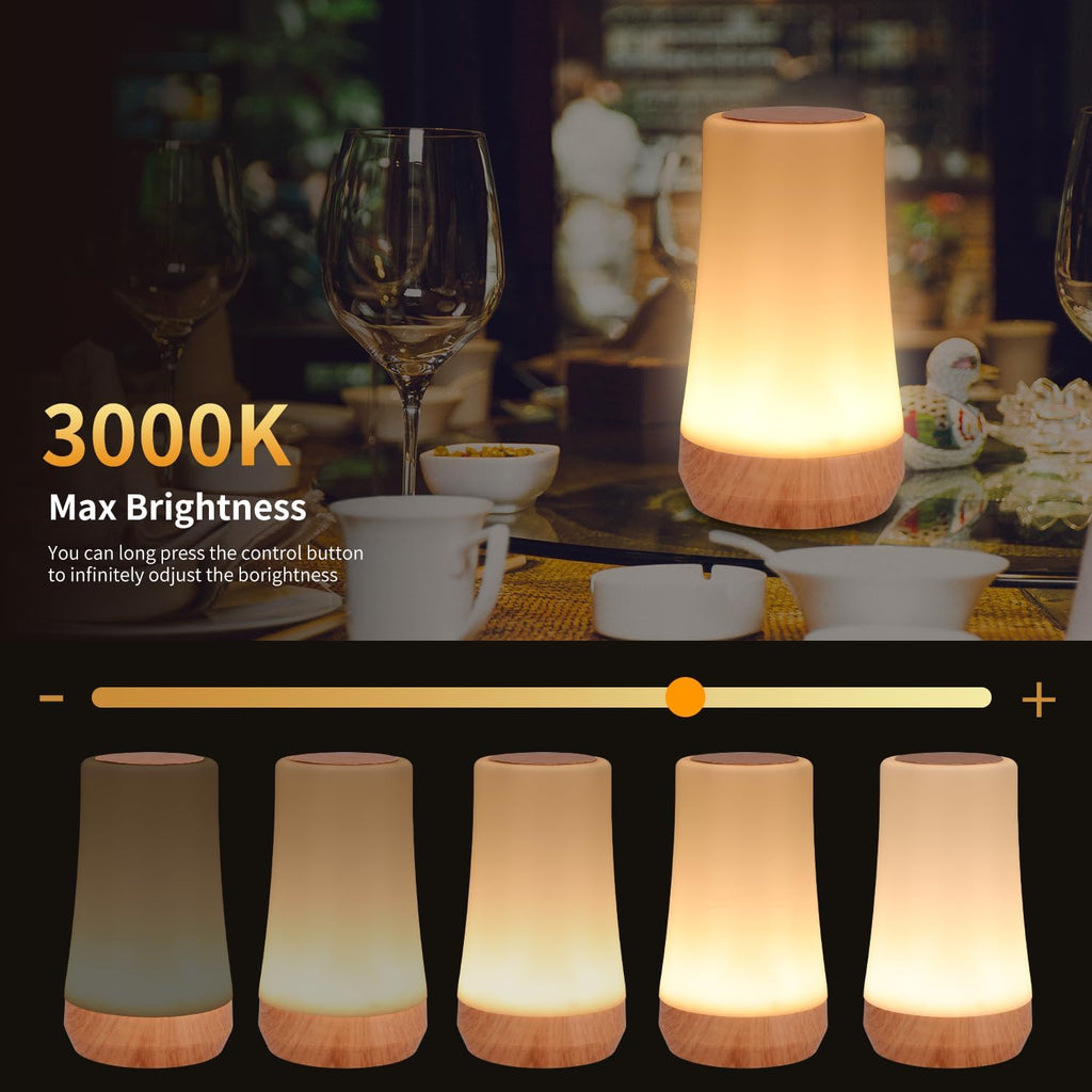 OORUN Touch Bedside Table Lamp,13 RGB Colors & 5 Brightness, USB Rechargeable Desk Lamp, Remote Control Dimmable Light with RGB Color Changing,Portable Lamp for Baby (F9)