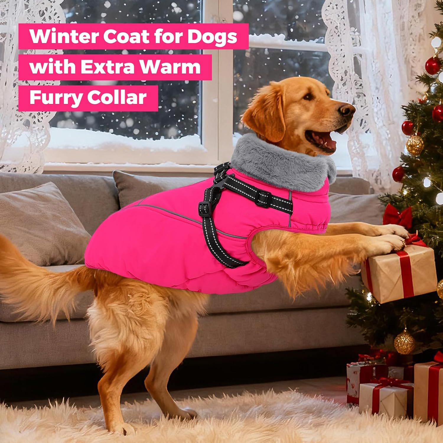 Queenmore Small Dog Coat, Dog Coat for Small Dogs with Harness Built in