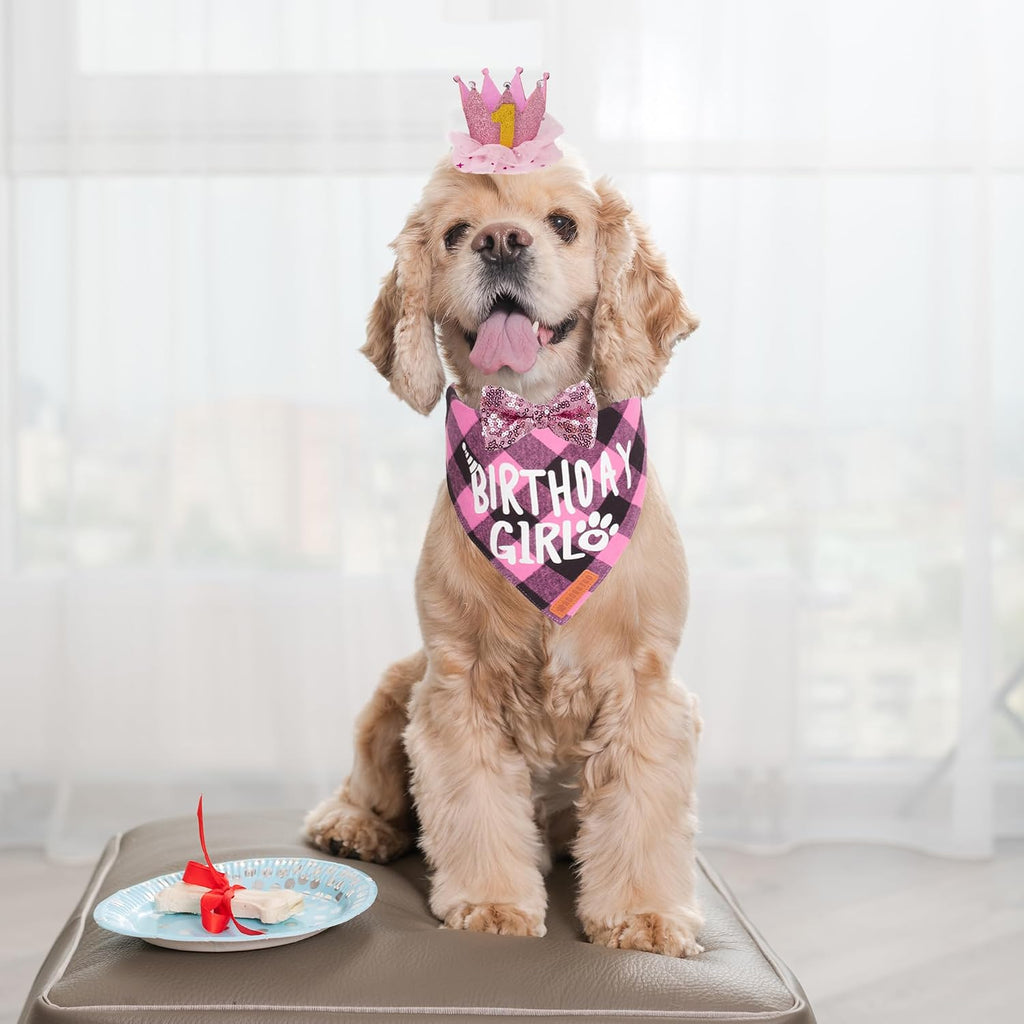ADOGGYGO Dog Birthday Hat Bandana Set, Pink Plaid Girl Dog Bandana, Small