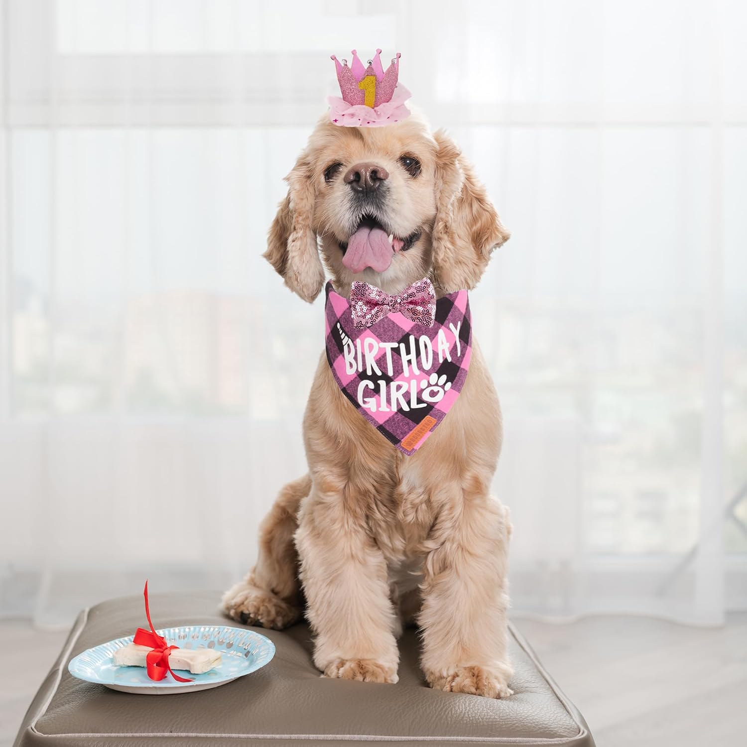 ADOGGYGO Dog Birthday Hat Bandana Set, Pink Plaid Girl Dog Bandana, Small