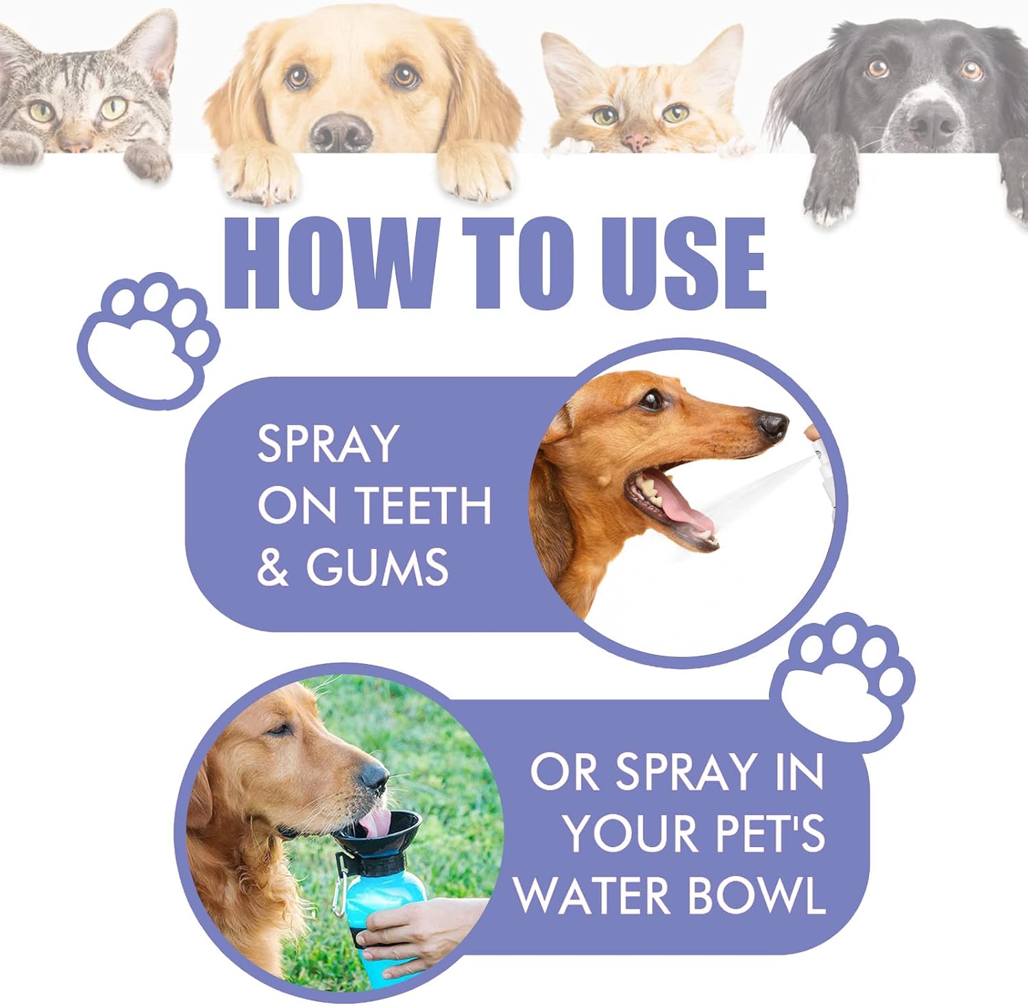 JoanofArc Teeth Cleaning Spray for Pets, Peppermint Freshen Oral Spray, Bad Breath & Tartar Plaque Support, Help Reduce Plaque & Tartar, No Brushing, Oral Care Cleaner, 1.01 fl oz