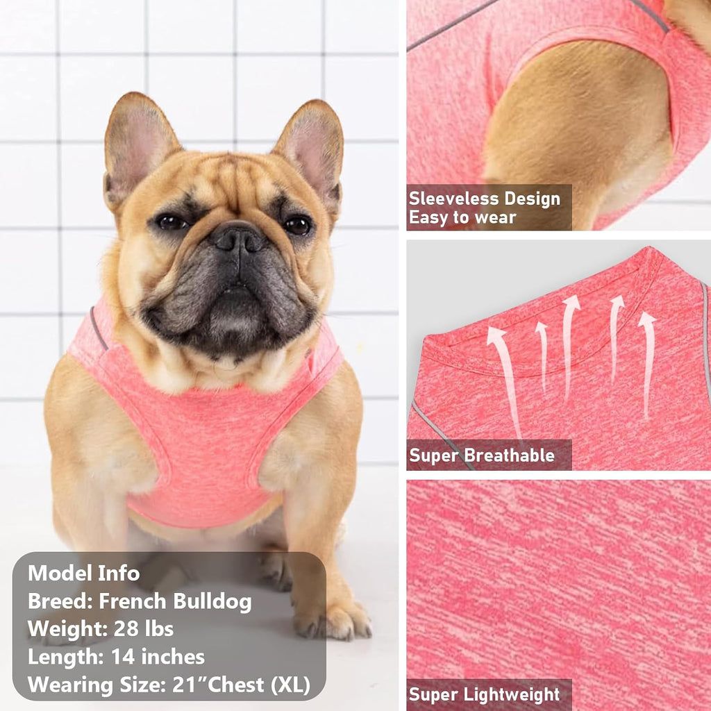 KYEESE Reflective Dog Shirt, Lightweight Sun Protection Dog T Shirts for Small Dogs, Breathable Sleeveless Pet Tank Top Summer Dogs Clothes for Night Walking Outdoor, Coral Red, M