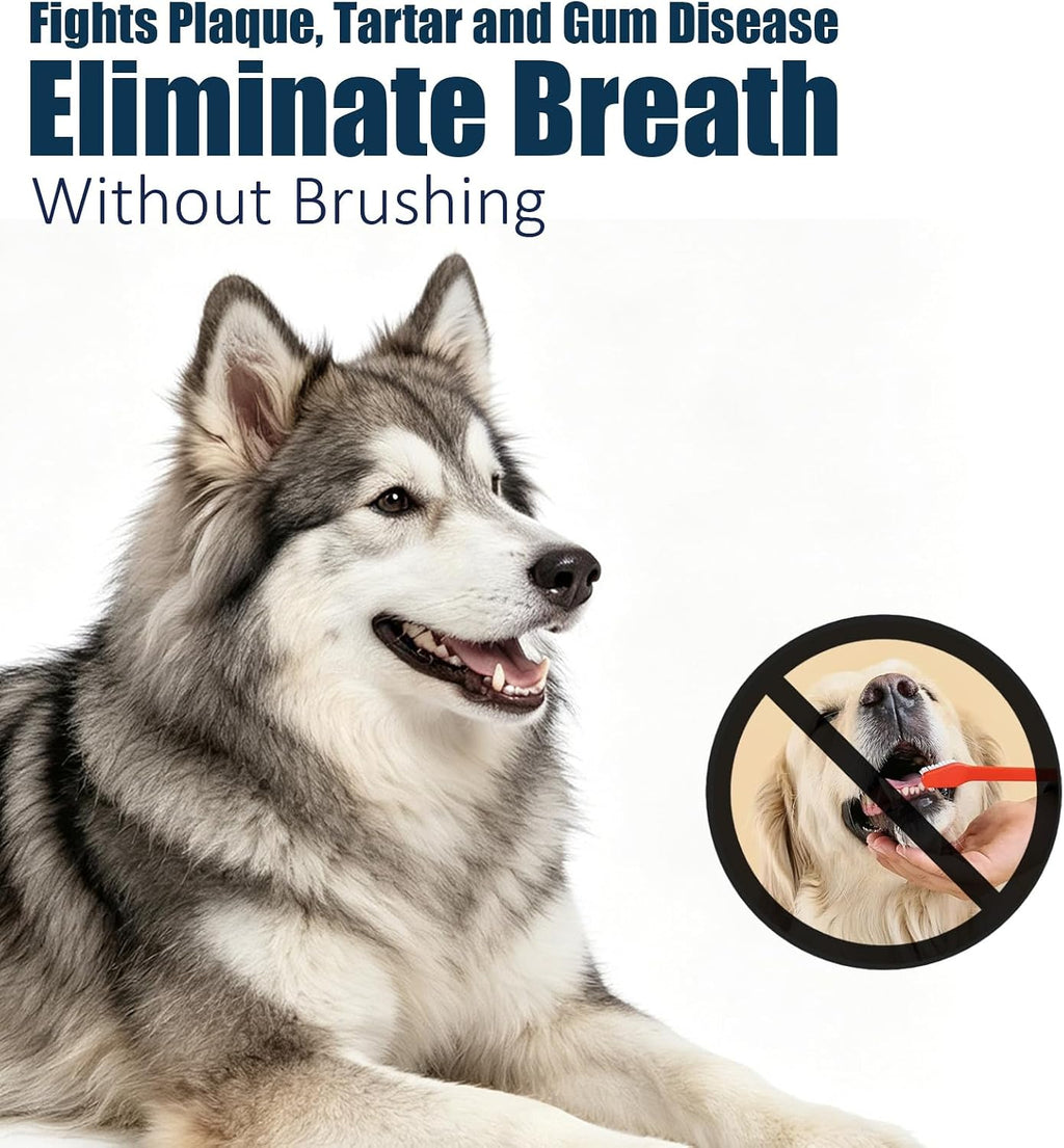 QHZ Oral Spray for Dogs – No Brushing Pet Oral Care Spray for Dogs & Cats, Fresh Breath & Tartar Control, Easy Daily Dental Spray for Dogs Teeth Cleaning,100ml