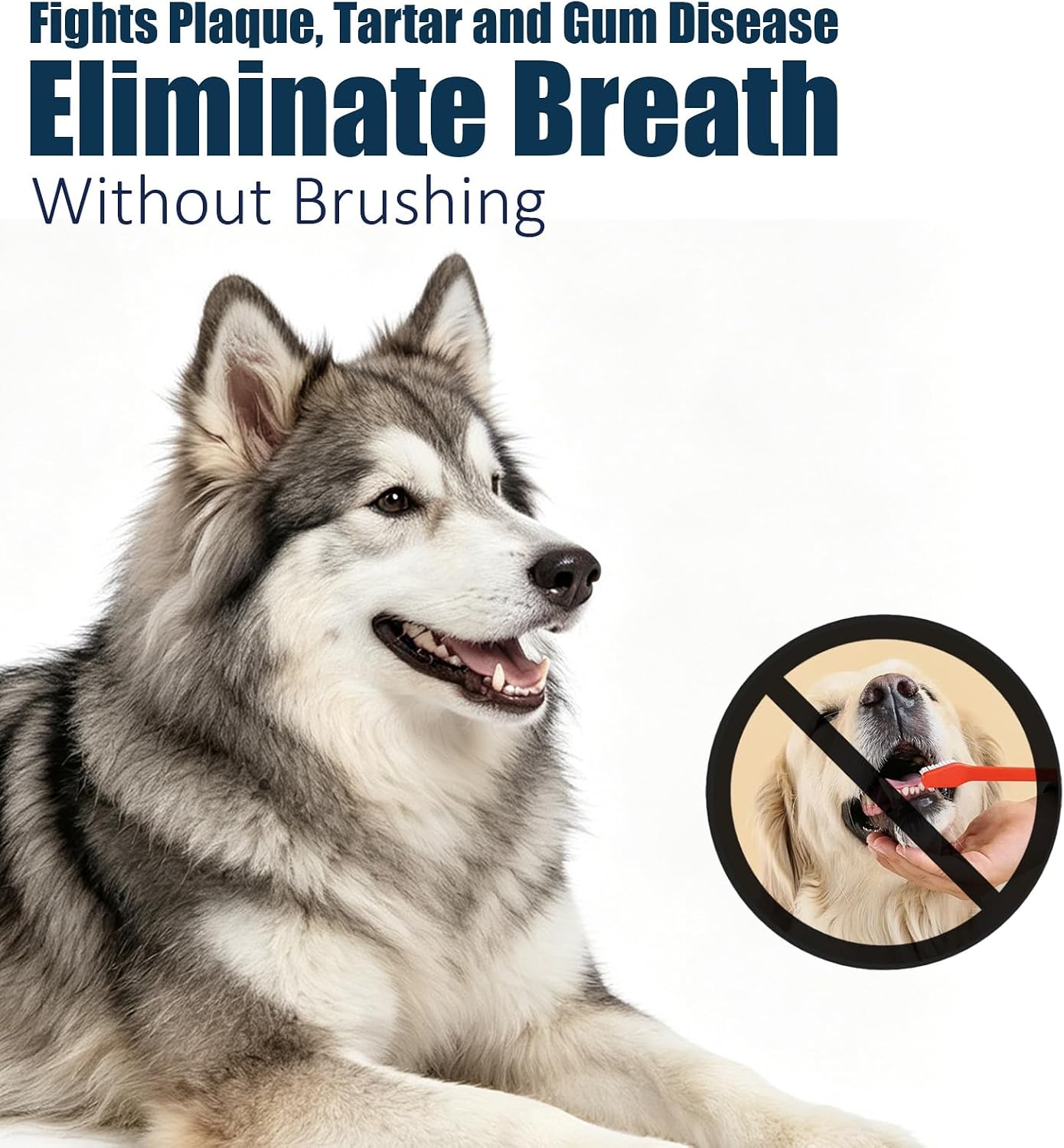 QHZ Oral Spray for Dogs – No Brushing Pet Oral Care Spray for Dogs & Cats, Fresh Breath & Tartar Control, Easy Daily Dental Spray for Dogs Teeth Cleaning,100ml