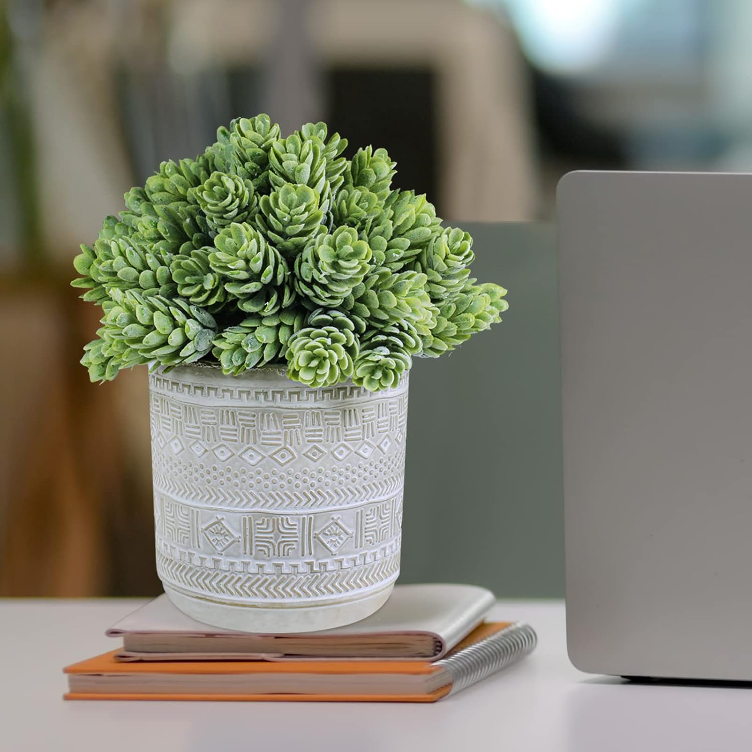 Set of 3 Assorted Small Potted Succulent Plants Fake Aloe String of Pearls Hops Succulents in Gray Geometric Concrete Ceramic Pots for Gifts Modern Home Office Desk Table Indoor Outdoor Greenery Decor