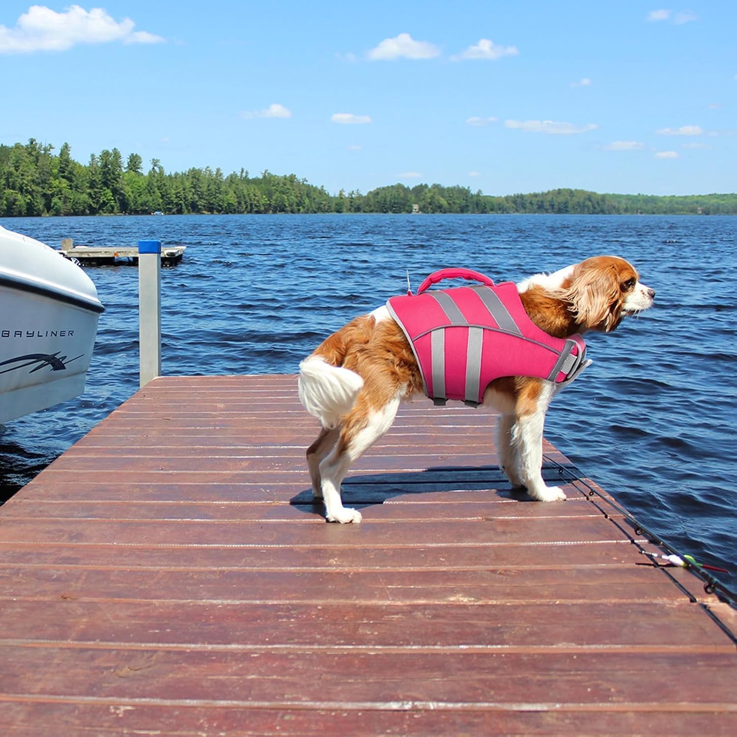 Kuoser Reflective Dog Life Jacket, Dog Life Vest for Swimming Boating