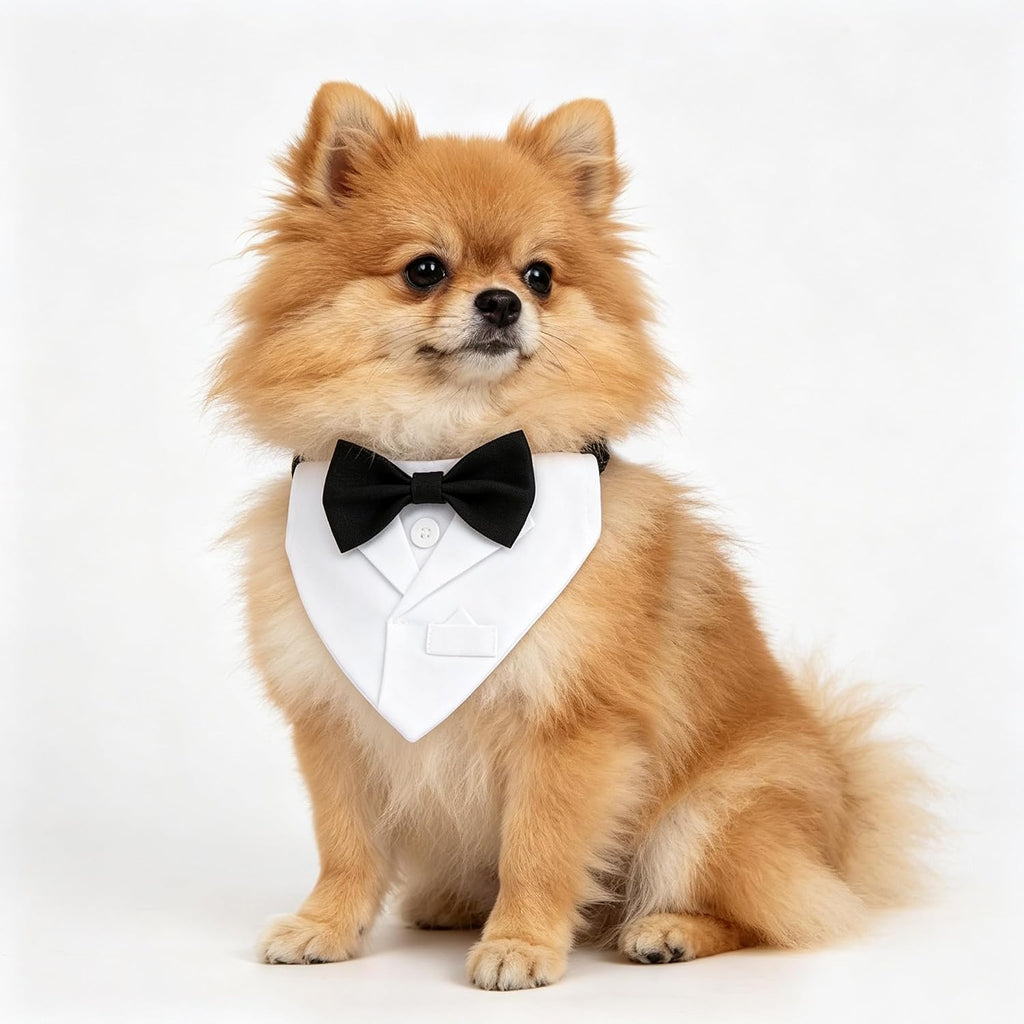 Dog Tuxedo Suit Wedding Collar, White Bandana with Black Bowtie, Adjustable Formal Dog Tux, Engagement Birthday Party Costume (L)