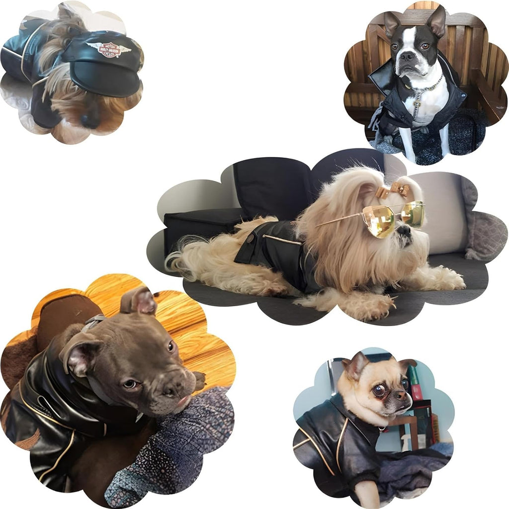 Dog Winter Coat Pu Leather Motorcycle Jacket for Dog Pet Clothes Leather Jacket, Waterproof(L)