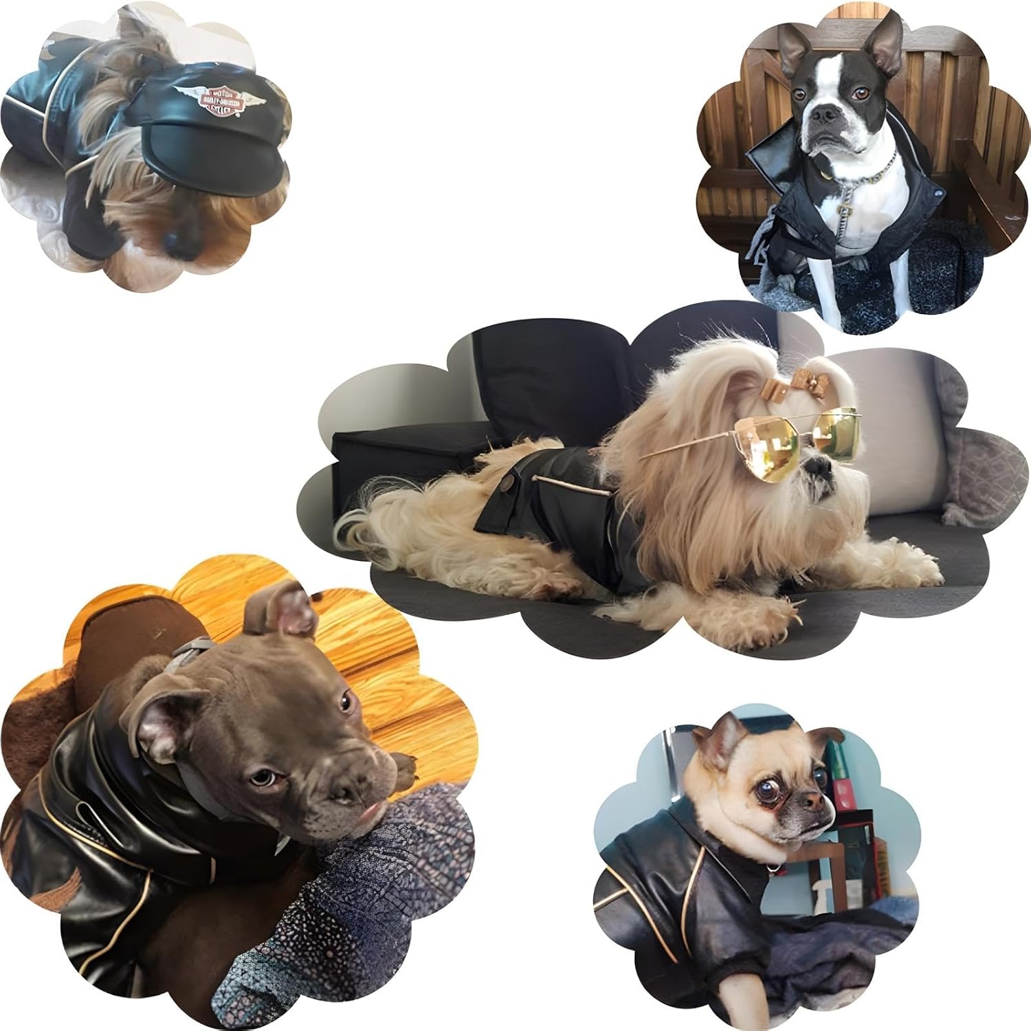 Dog Winter Coat Pu Leather Motorcycle Jacket for Dog Pet Clothes Leather Jacket, Waterproof(L)