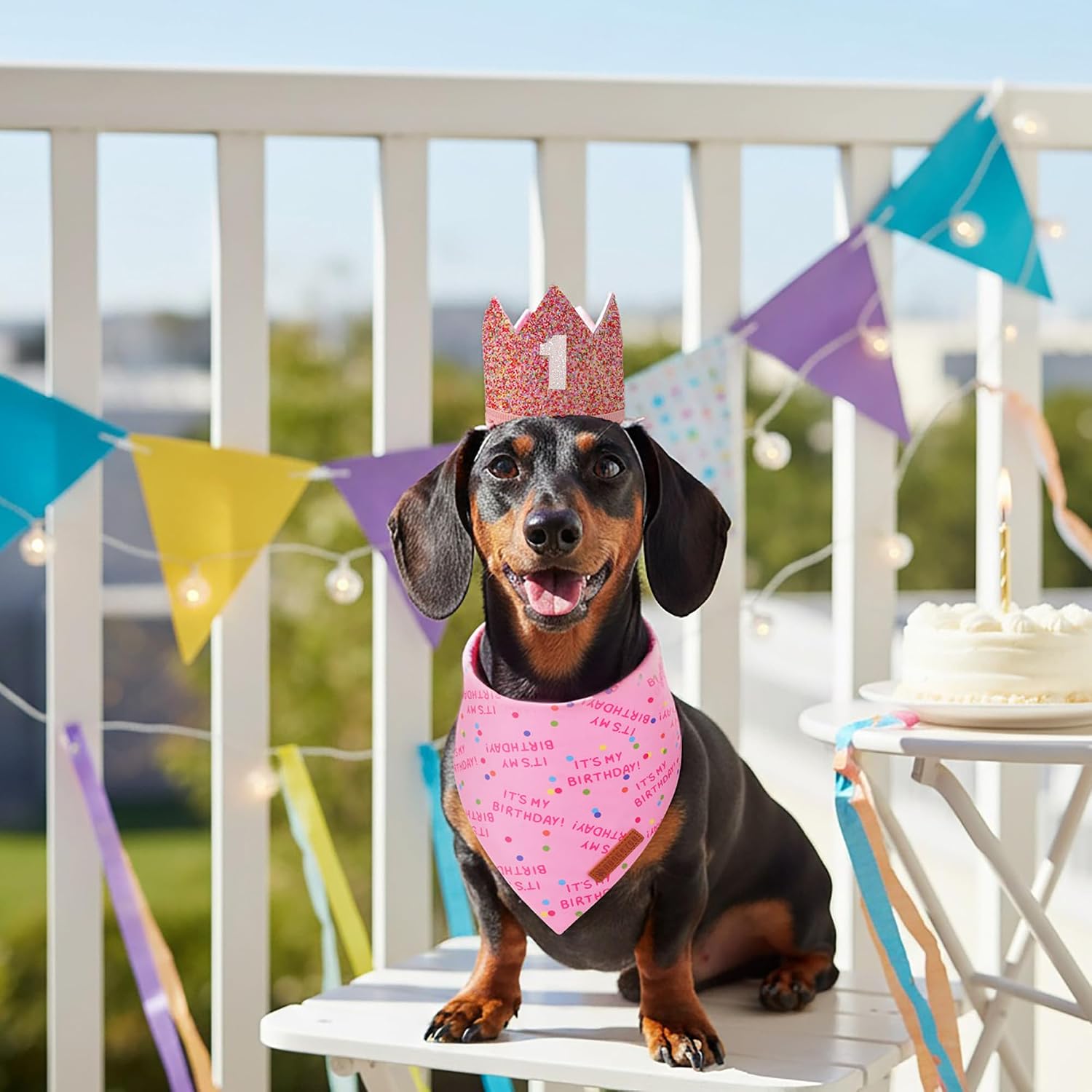 ADOGGYGO Girl Dog Birthday Hat, It's My Birthday Bandana Set, Pink, Small