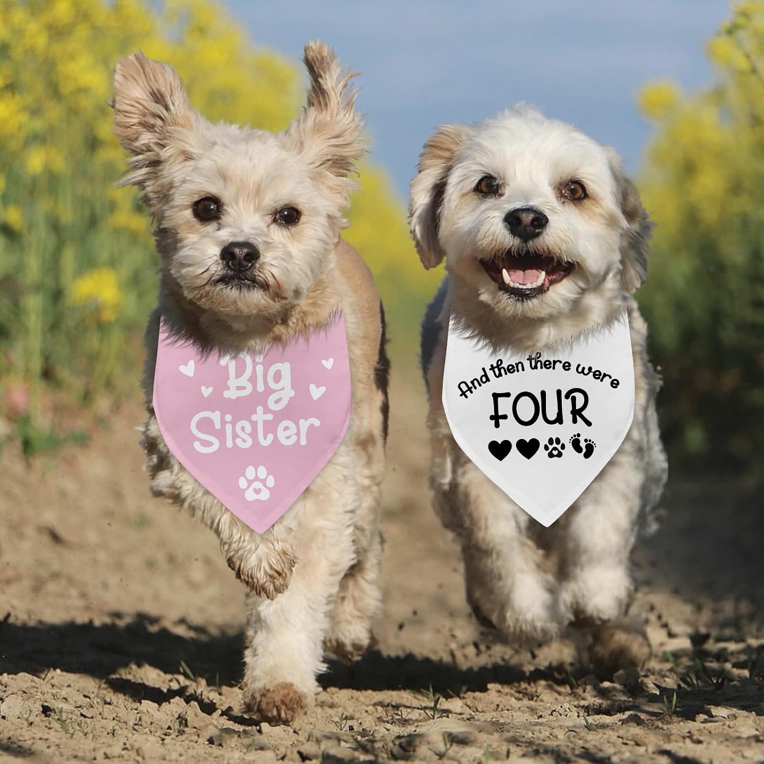 2 Packs Big Sister and Then There were Four Dog Bandana New Baby Gift Adjustable Pet Scarf for Large Medium Small Dogs Pregnancy Announcement Pink Big Sister Gender Reveal Outfit