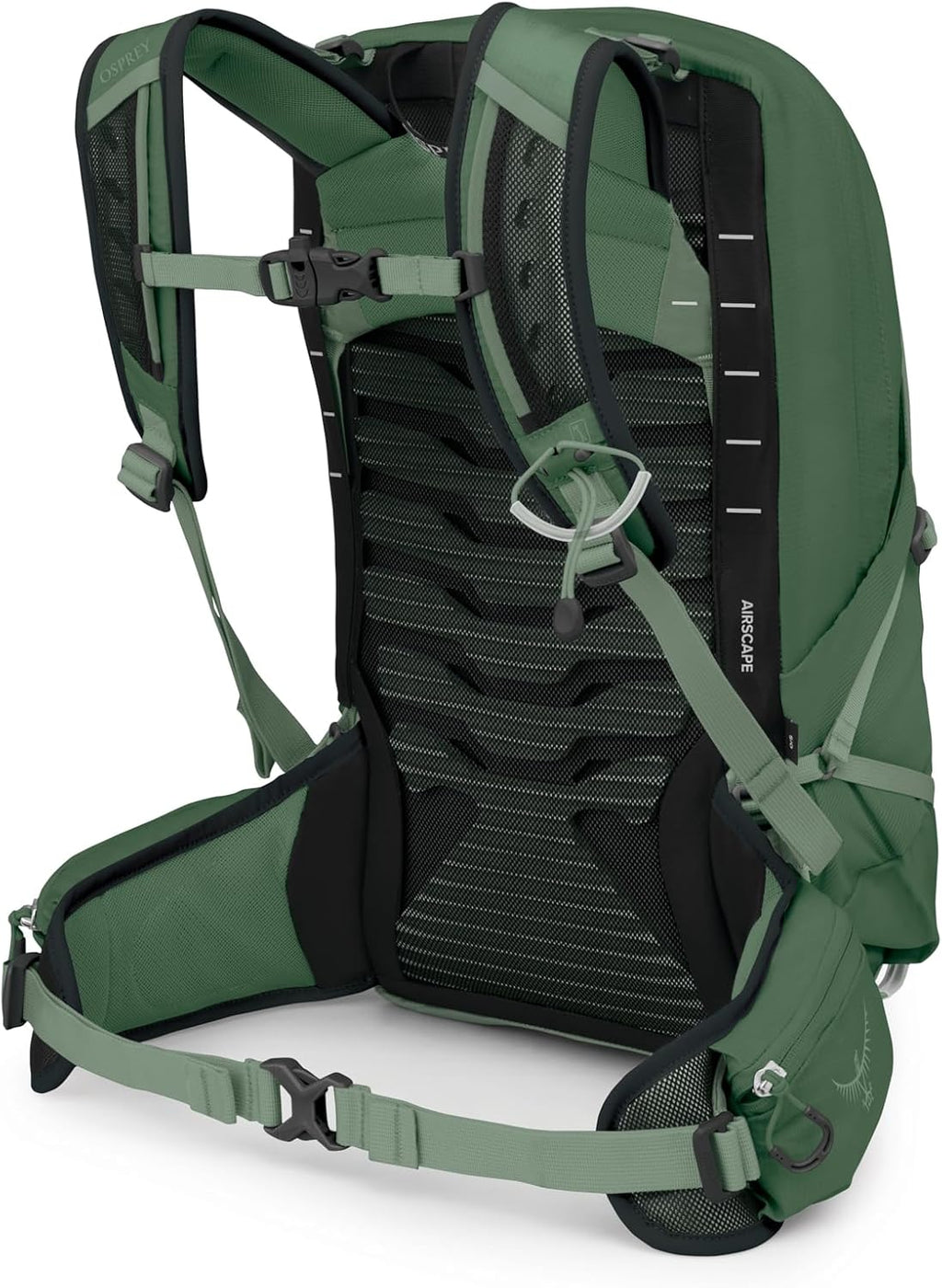 Osprey Talon 11L Men's Lightweight Hiking Backpack, Green OS