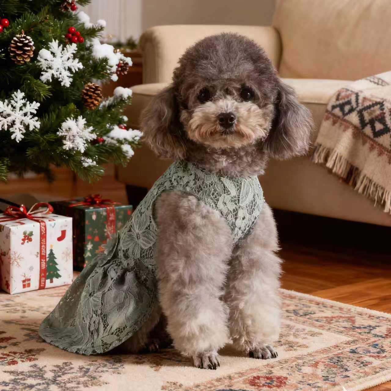 Fancy Cute Small Dog Dress for Girl - Elegant Lace Pet Dress with Floral Accents Puppy Apparel (Gray, M)