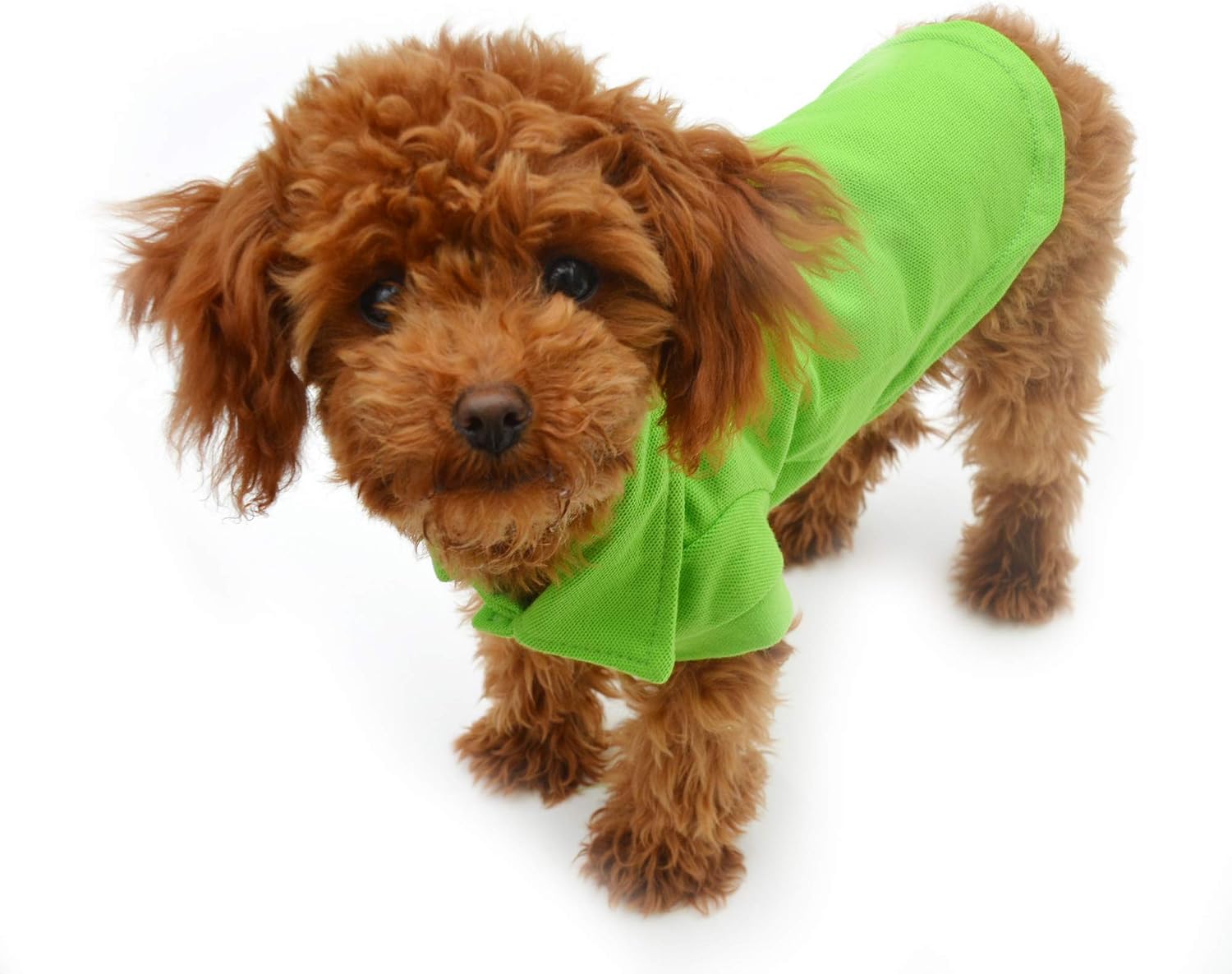 lovelonglong Basic Dog Polo Shirts Premium Cotton, Polo T-Shirts for Large Medium Small Dogs with a Two-Button Collar Blank Color Green XL